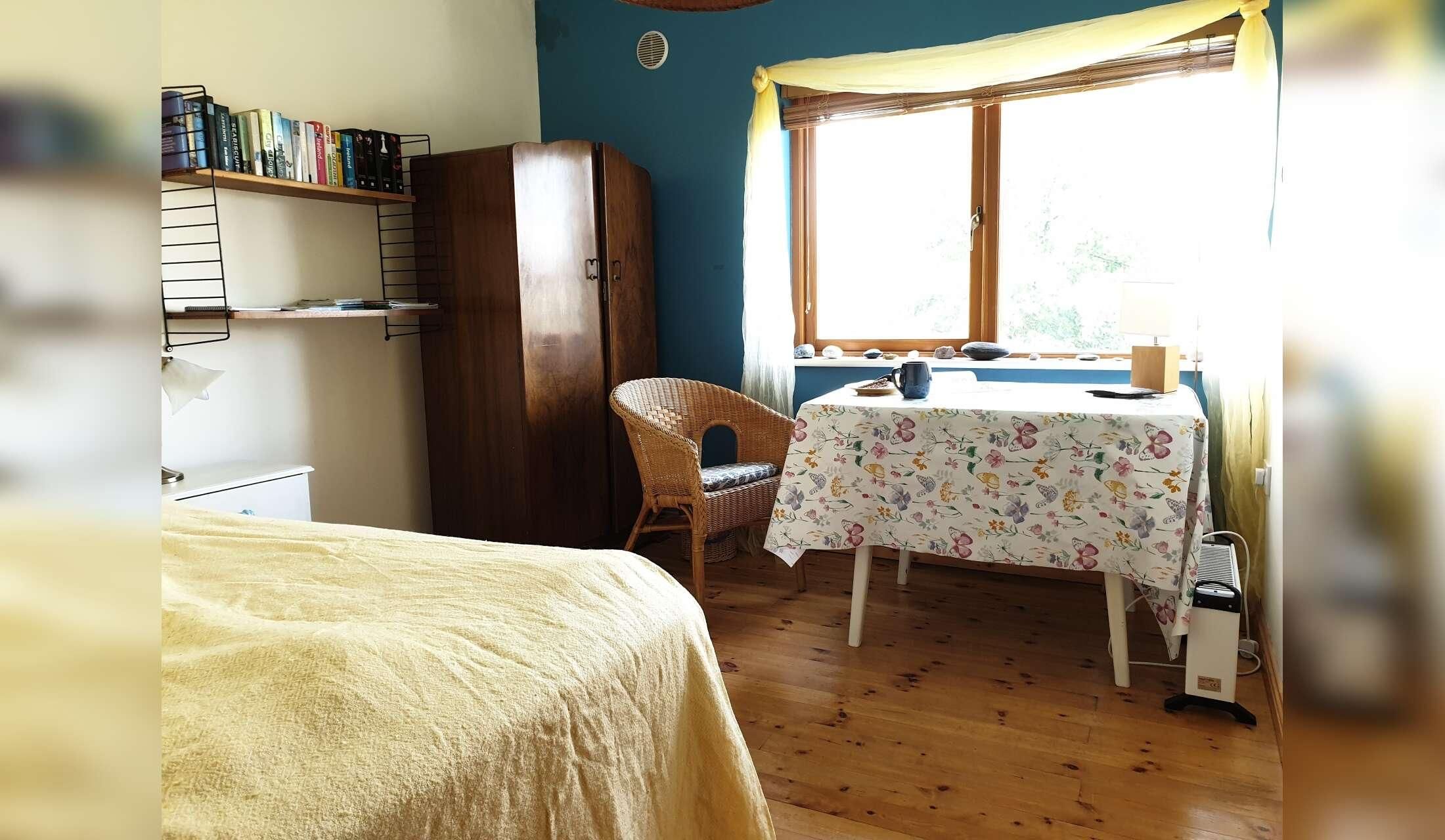 House sit in historic rural town on west coast of Ireland - Image 4