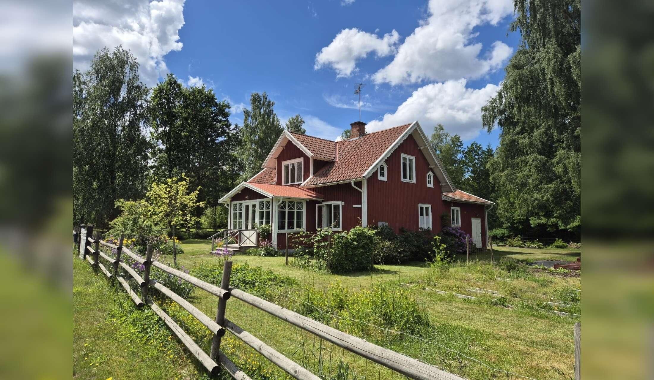 Traditional Swedish House (Golden Retriever + Cat)
