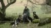 Small eco hobbyfarm in the meadows - Image 2