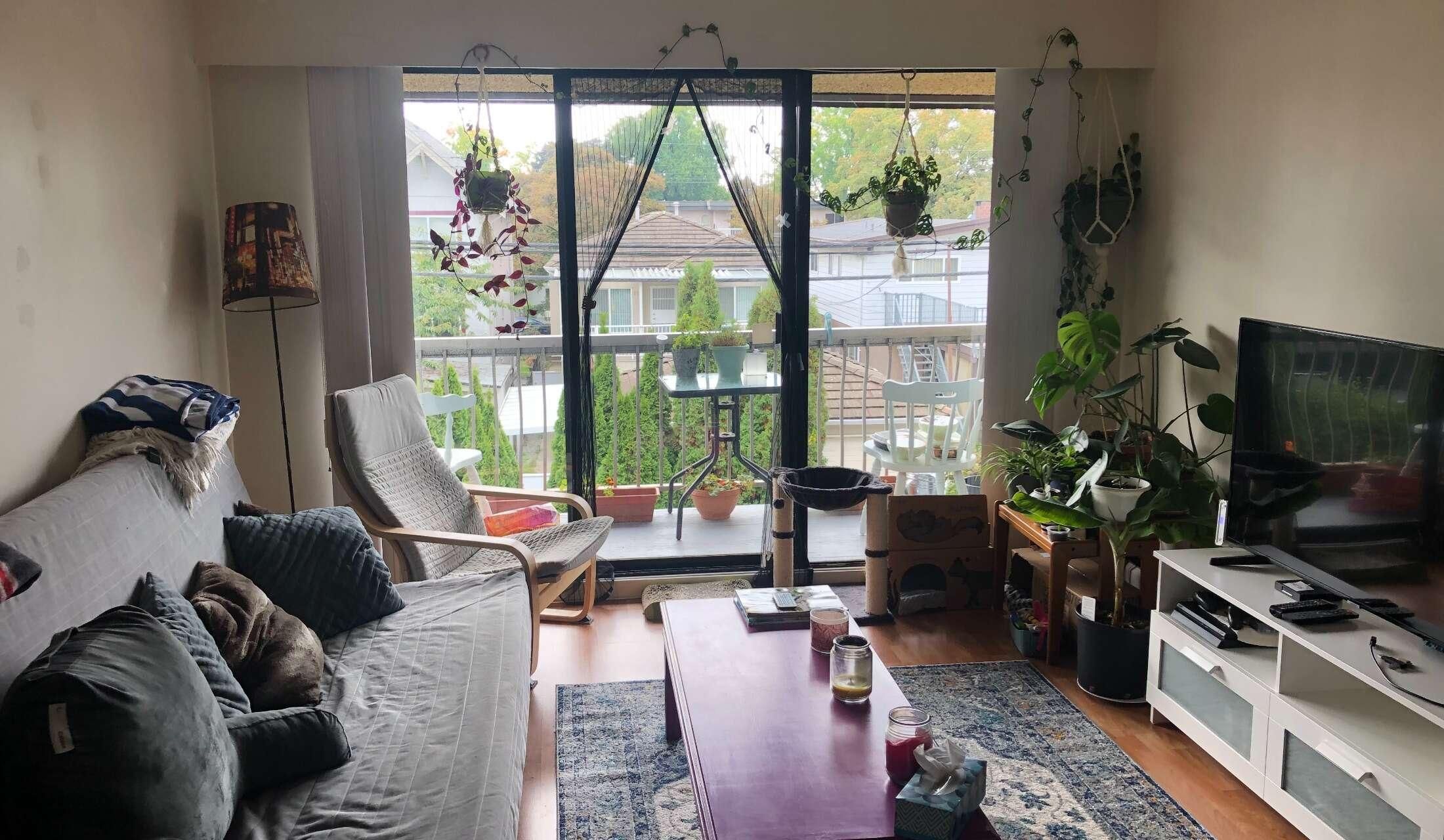 Autumn 2026 In Vancouver, Canada - dates flexible! Plant Savvy Cat & Fish Sitter Needed for 4-6ish weeks - Image 6