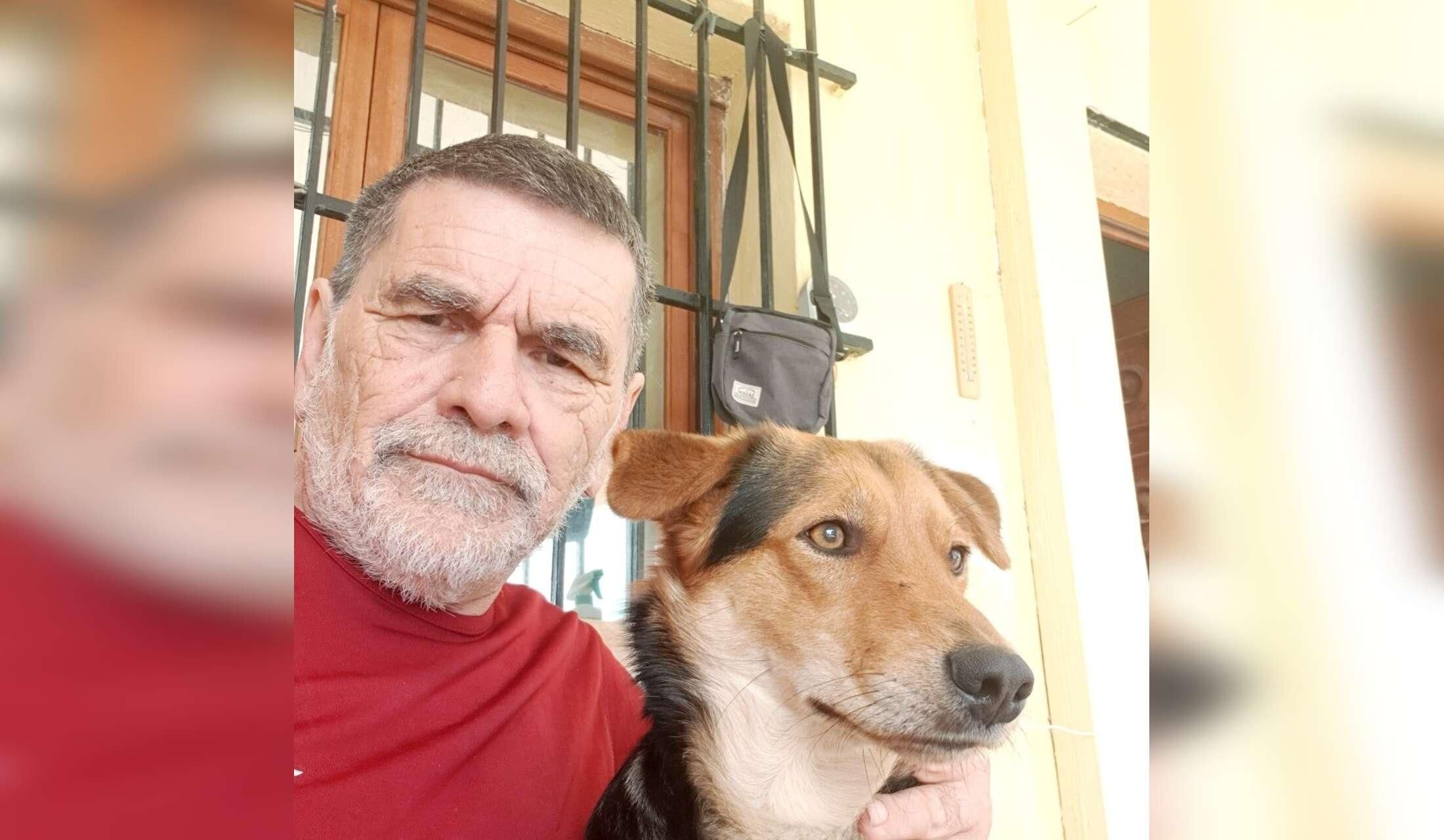 Ruhige Finca in Spanien sucht zuverlässige Housesitter - Image 4