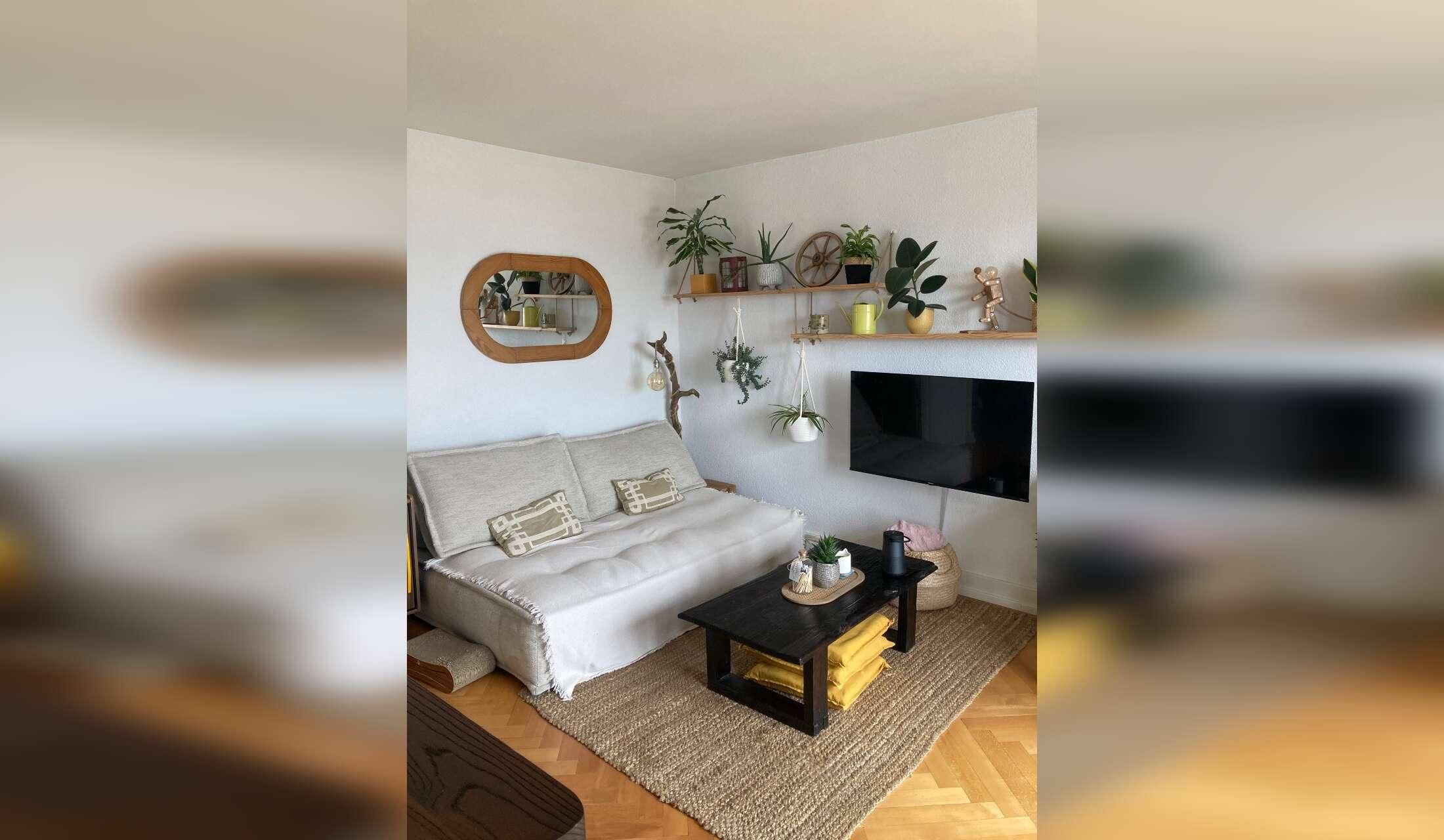 Cat lover - Stay near Lausanne, Switzerland - Image 2
