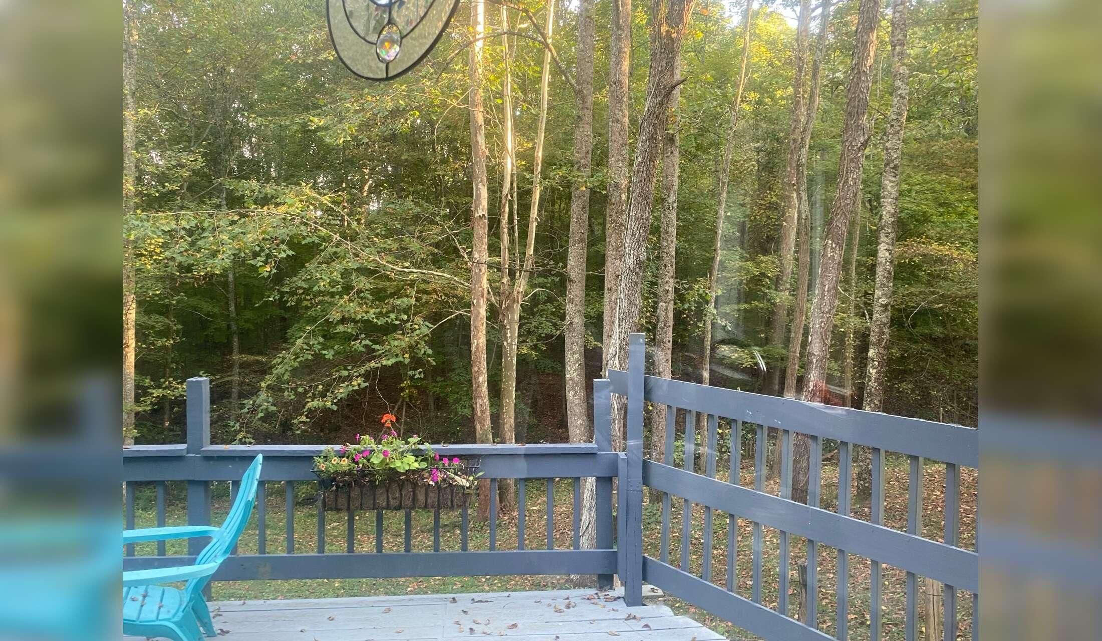 8 month Rural, rustic SEOhio - Image 2