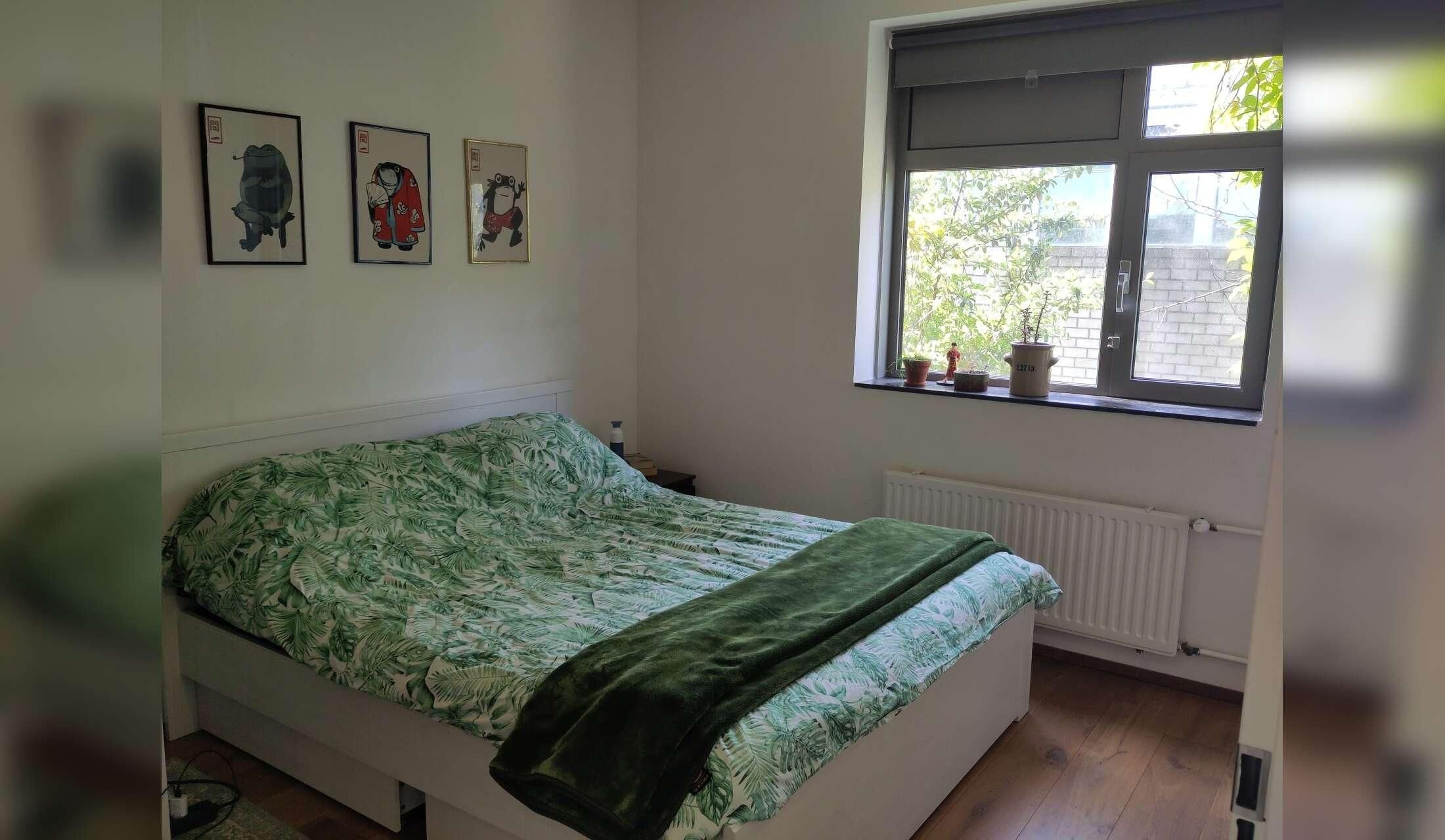 Cat/housesitting in Amsterdam Noord - Image 6