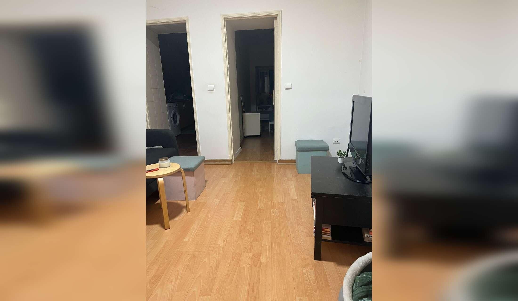 Cozy Lisbon Apartment + Loving Cat – Sitter Needed (August-October) - Image 7