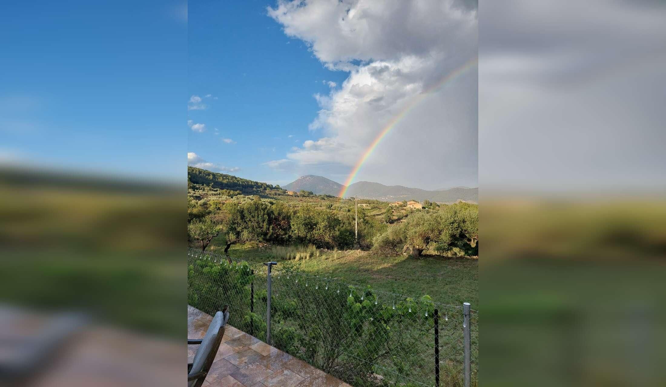 House and pet sitter wanted 28 October > 11th December 2026, Atzeneta del Maestrat, Castellón, Spain