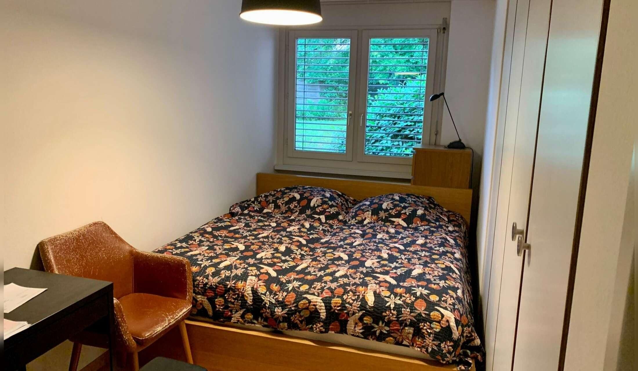 Cat sitter/home sitter needed from 4 to 18 October, near Zurich, Switzerland - Image 4