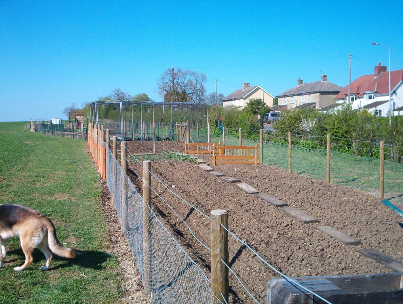 Countryside house near Cambridge,  12 miles from city centre, with a nice vegetable garden - Image 3