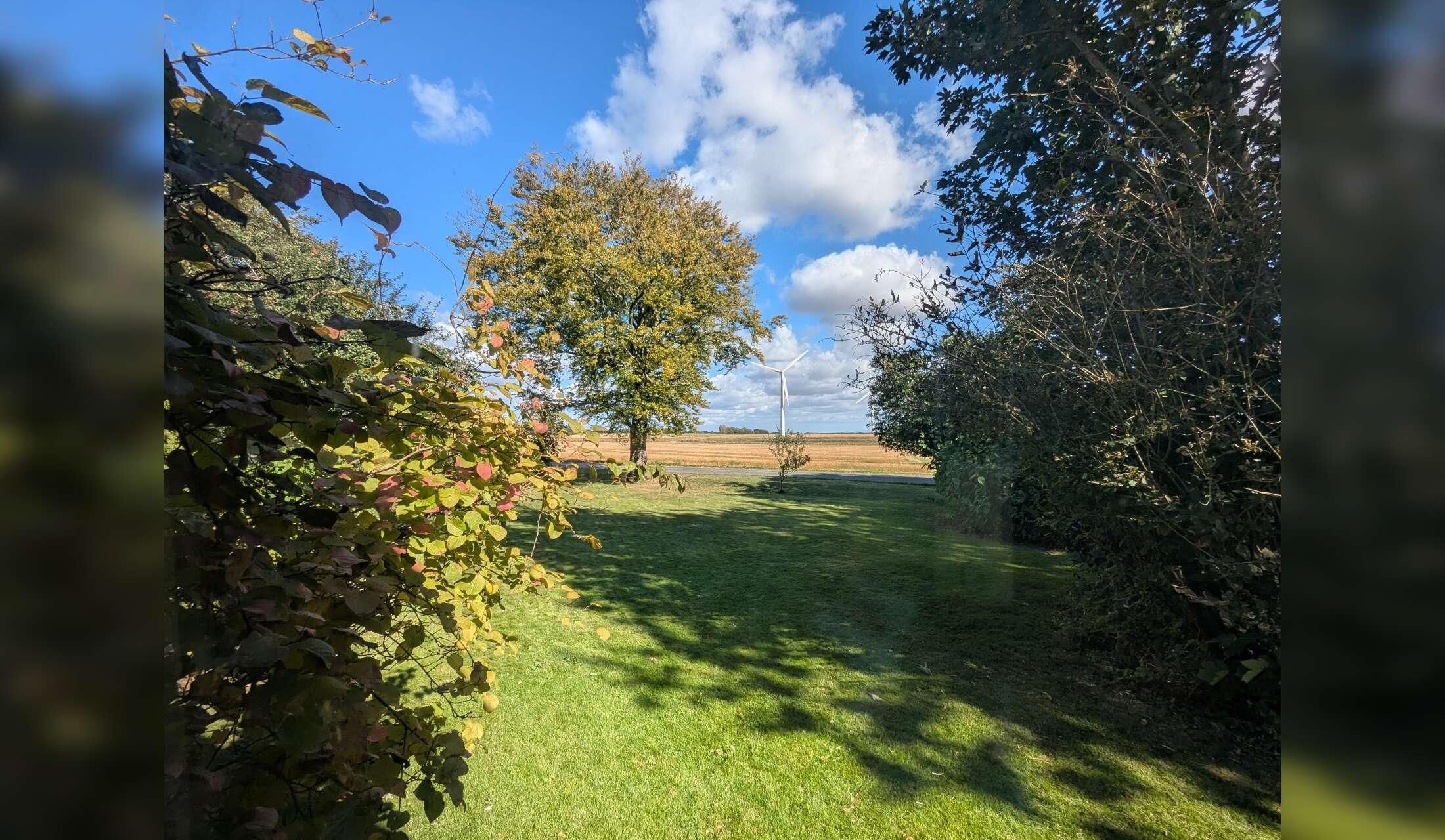 Cat Sitters Wanted - 1 week in November (rural Denmark) - Image 9