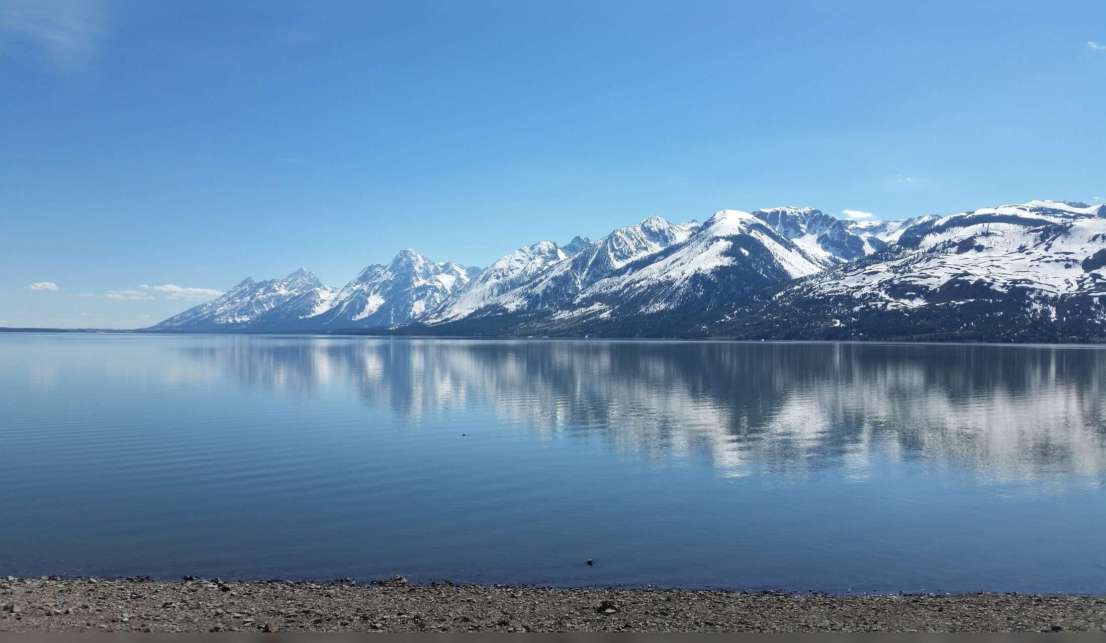 Autumn house sitting opportunity by Grand Teton National Park - Image 6