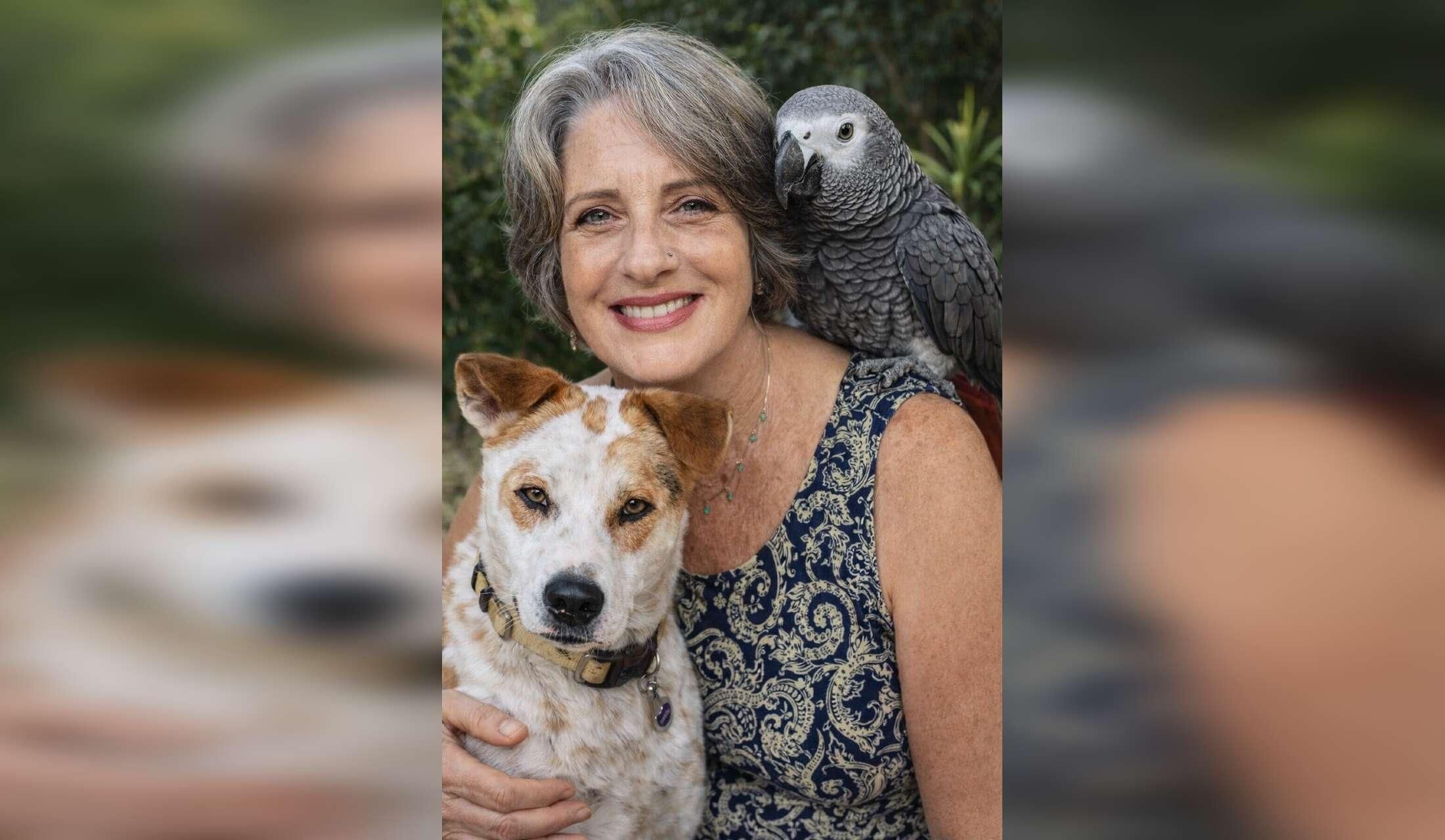 House and pet sitter wanted.