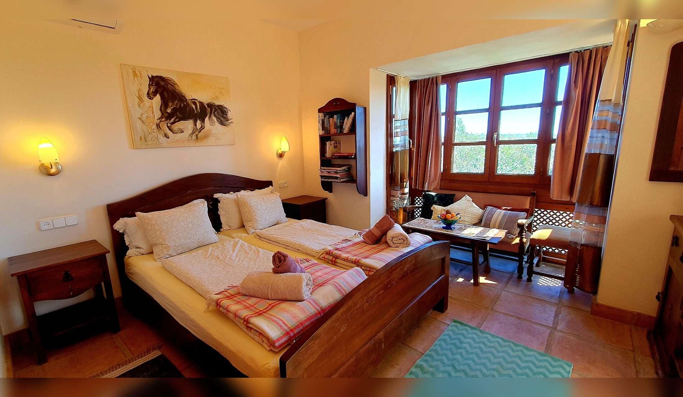 Finca in Andalucia offering pet sitting holidays - Image 3