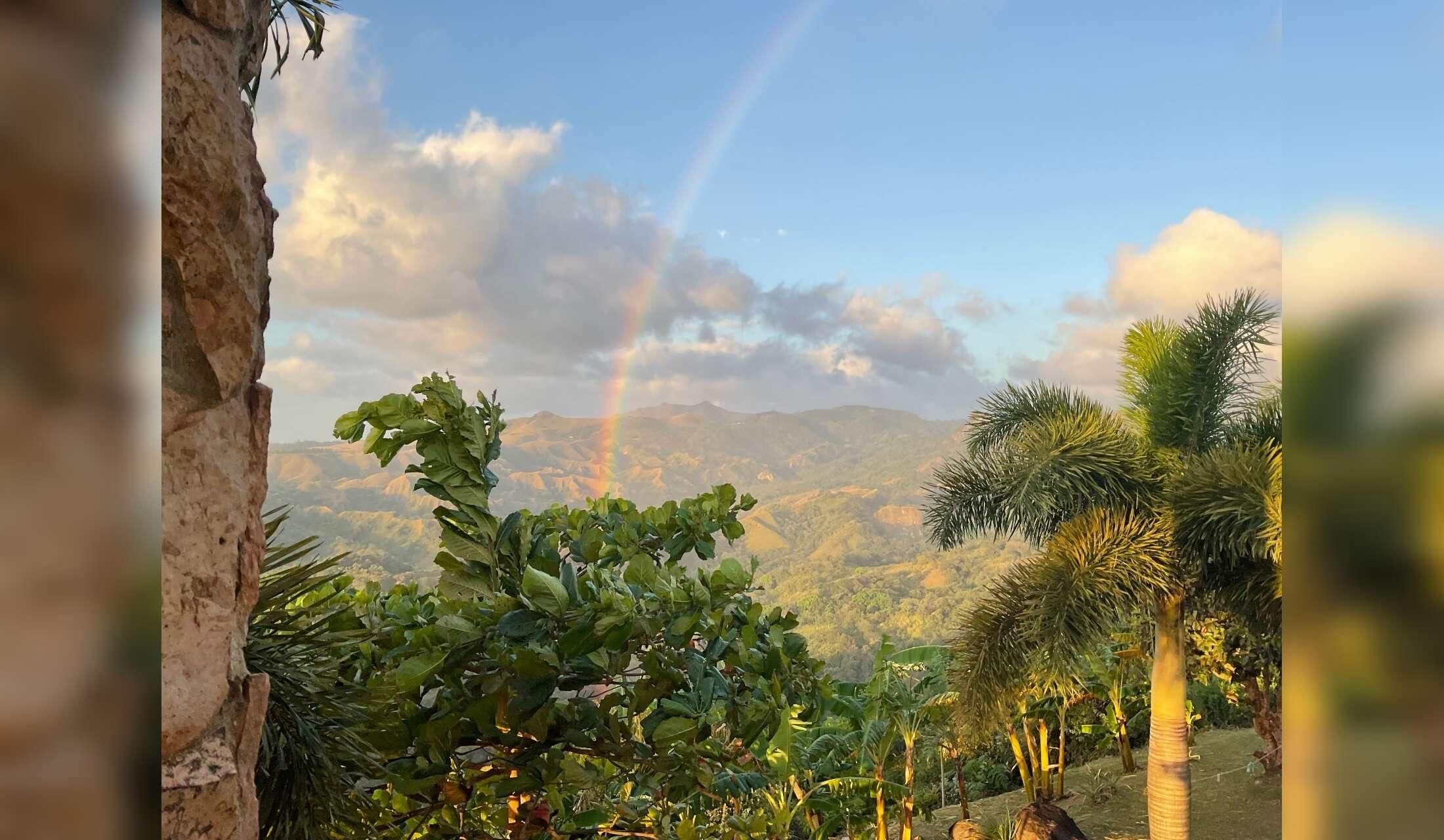 Panamanian Mountain Paradise - Image 10