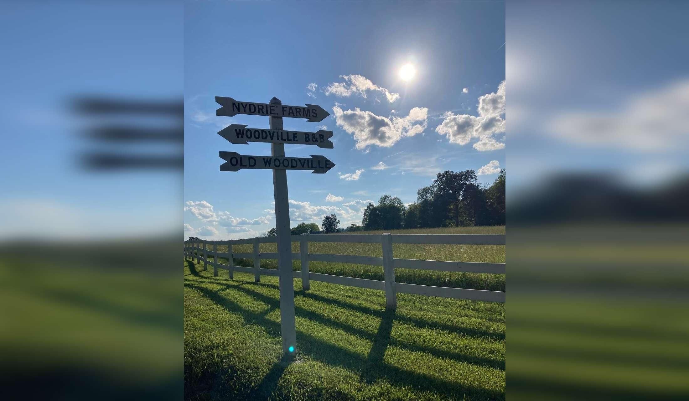 Low-key Blue Ridge sit with paid dog walker available!