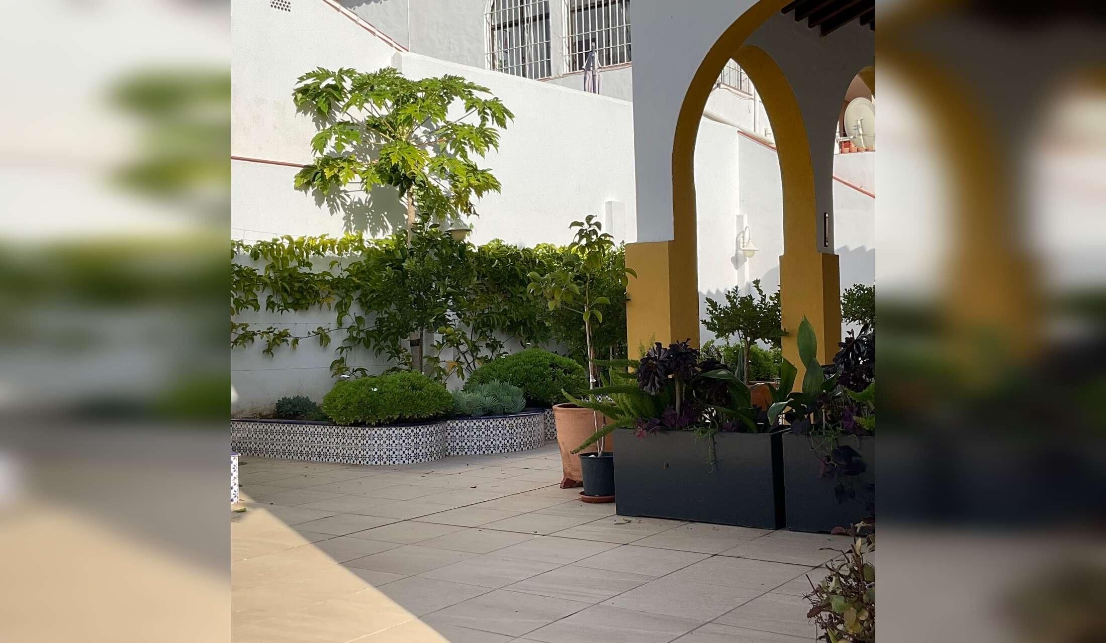 14 Week Premium Summer Property Sit in Maro (Nerja) Spain for the experienced and enthusiastic gardener – Private Pool & Newly Planted Mediterranean Garden (No Pets) - Image 3