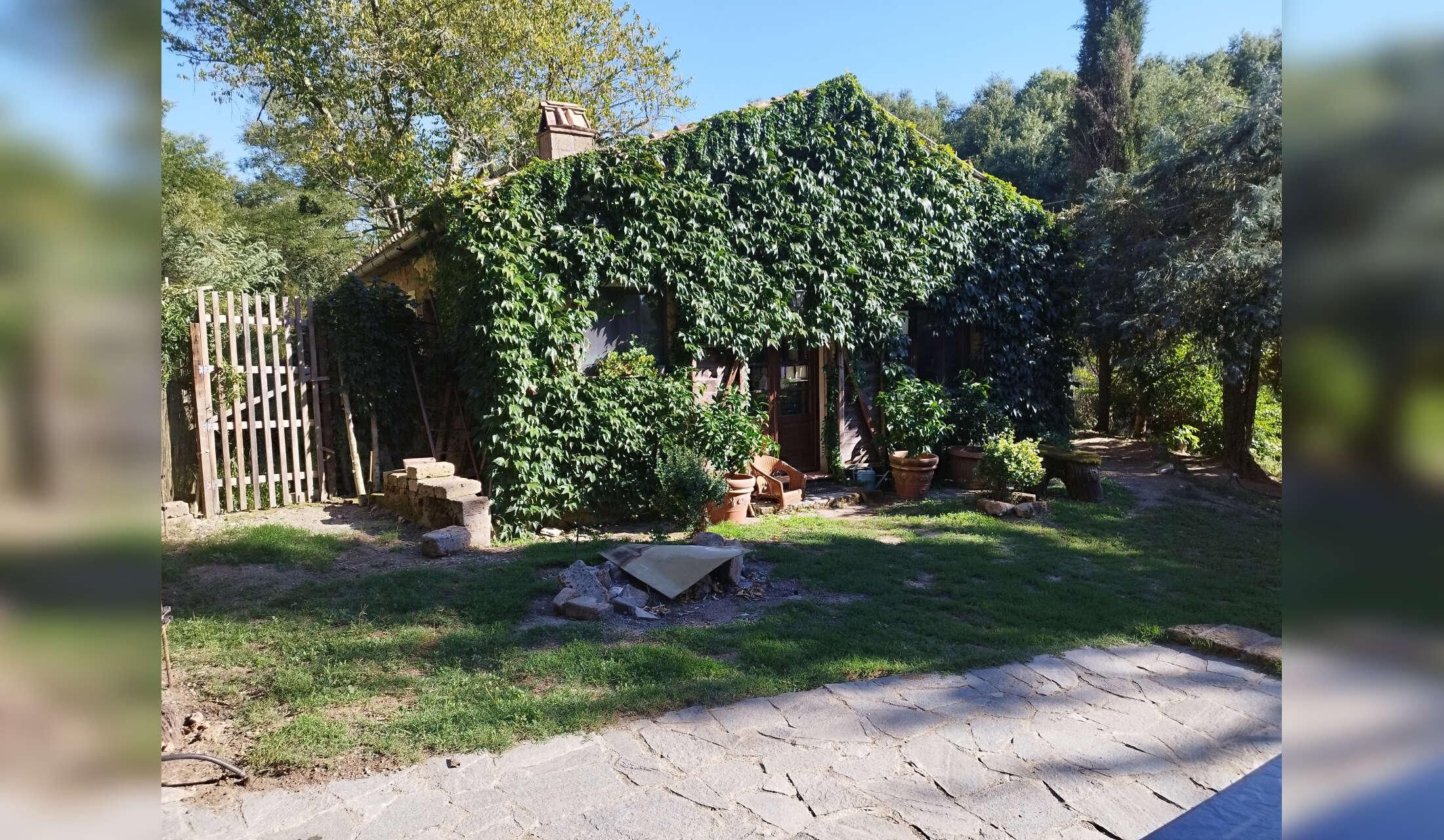 Peaceful winter in Tuscany with a lovely dog – off-grid country home - Image 2
