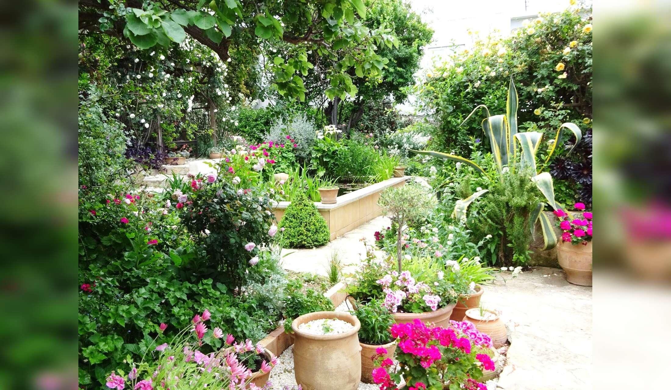 A tiny village house in North Eastern Crete with 2 cats and a garden with fish in a lily pond