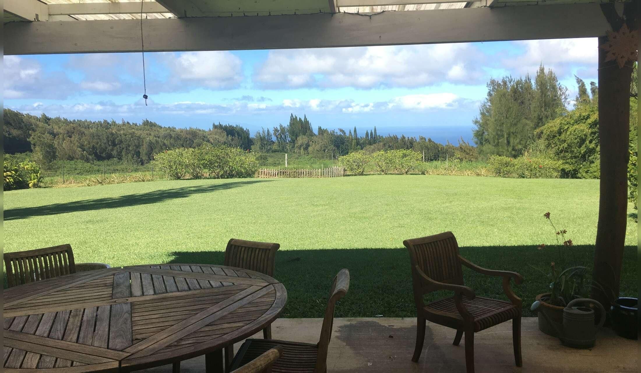 Christmas in Hawaii - Image 3