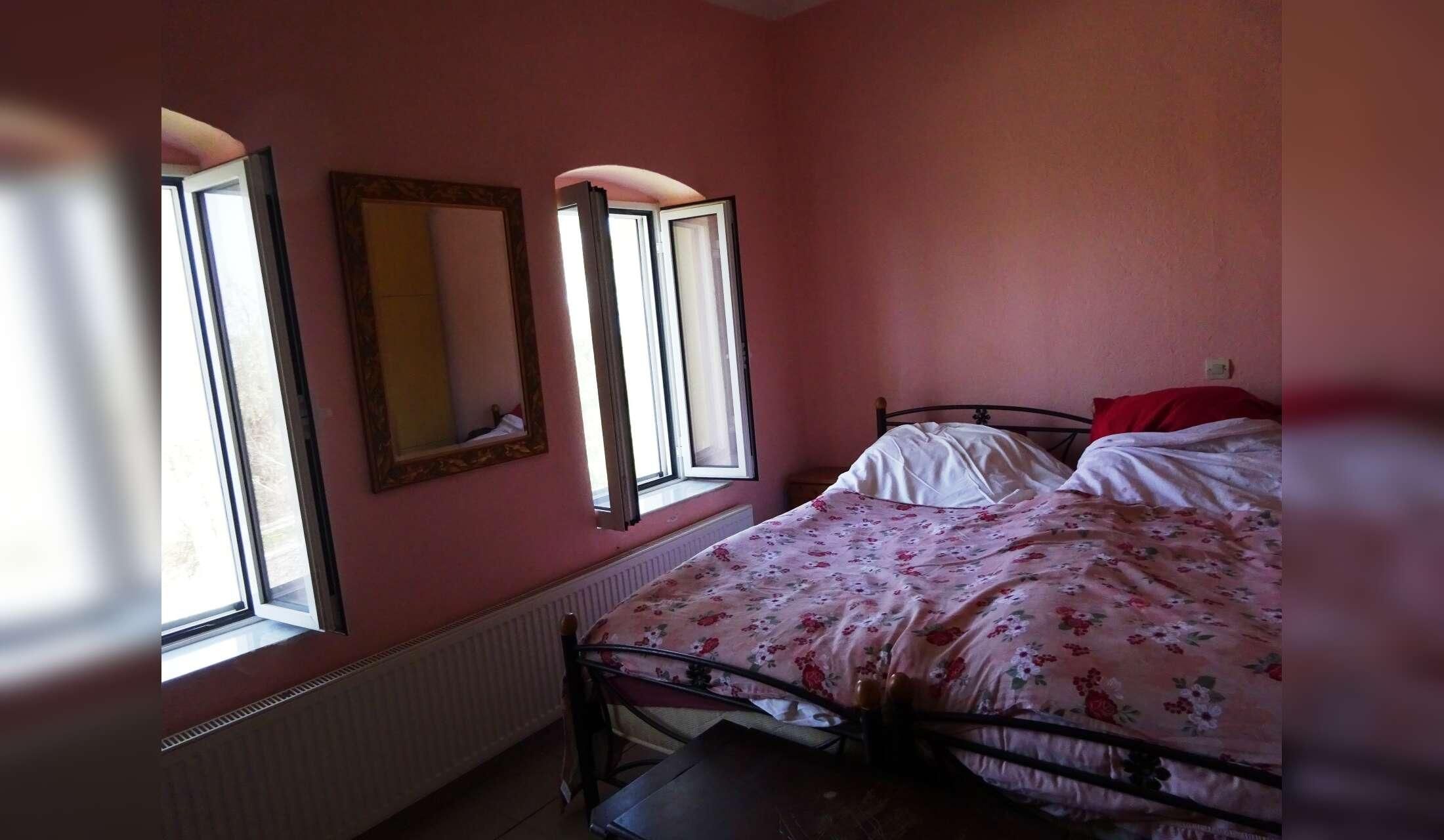 A tiny village house in North Eastern Crete with 2 cats and a garden with fish in a lily pond - Image 2