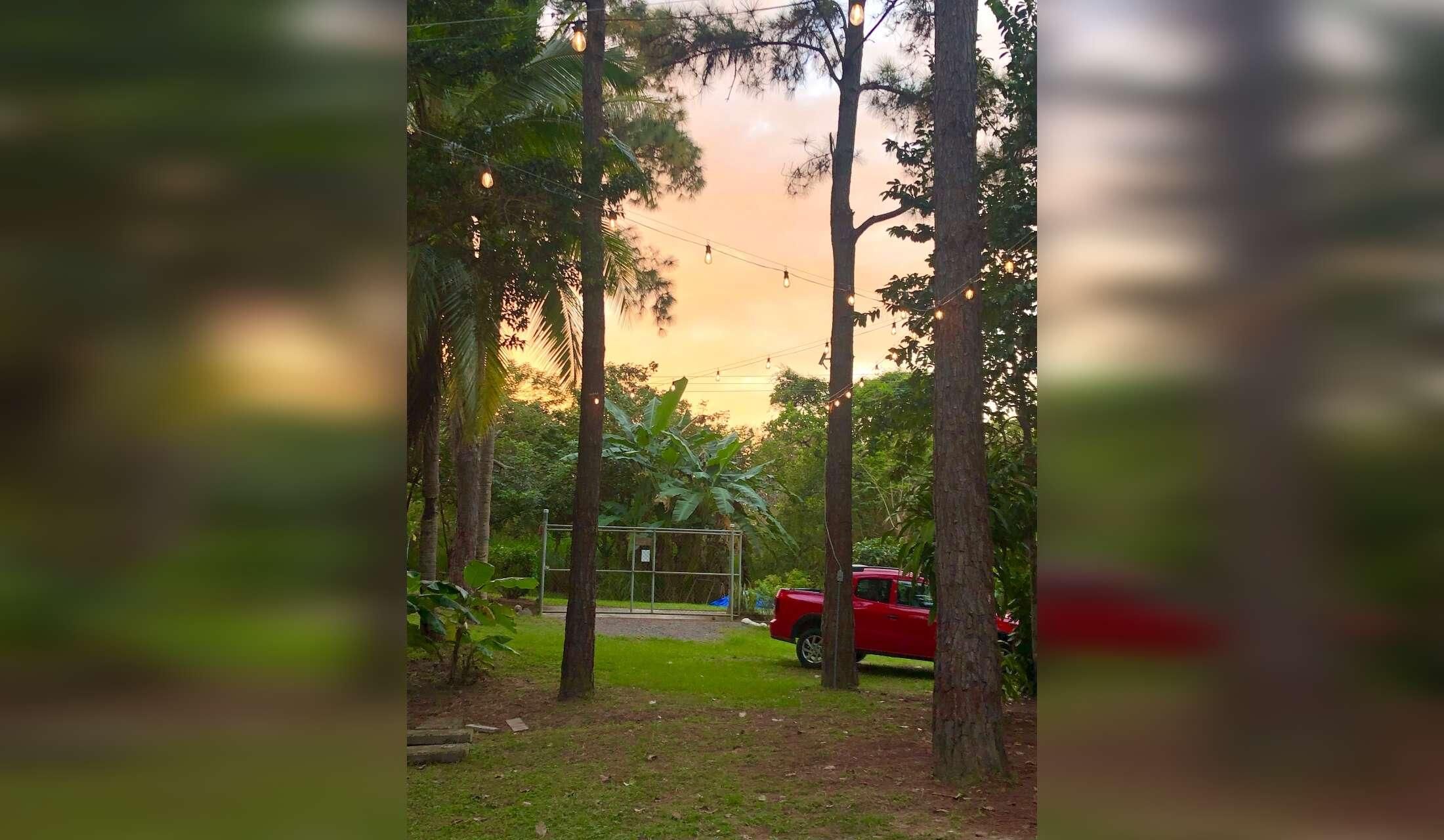 Looking for a couple to live close to the beach with 4 cats, Maggie, a senior dog, and a chicken. Close to the beach near San Carlos, Panamá - Image 9