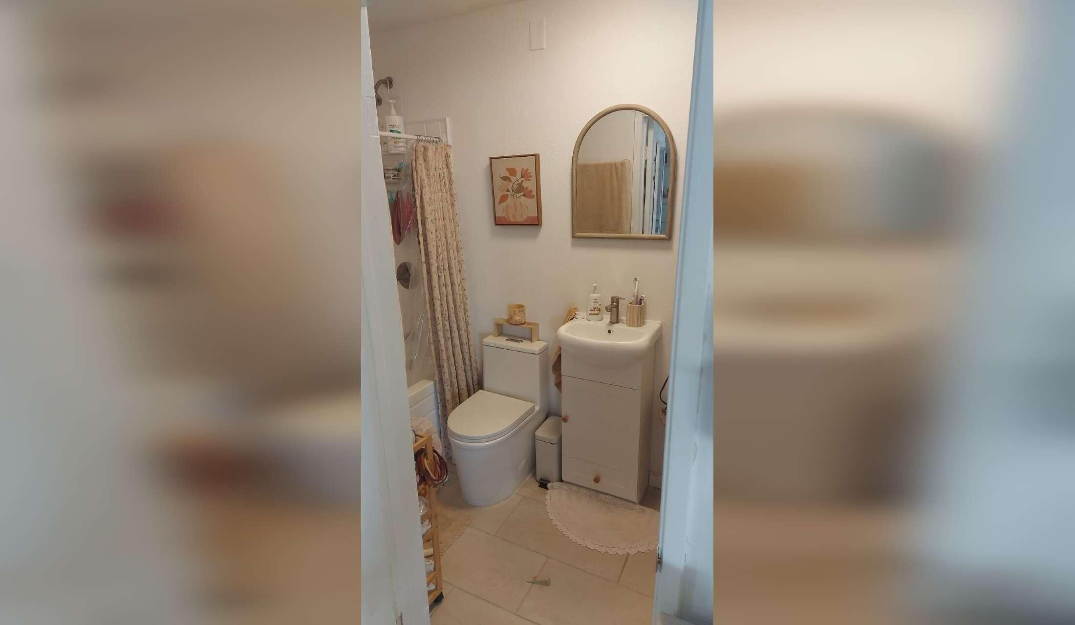 San Diego opportunity - 2 beautiful, easy kitties in bright, beautiful studio apt in convenient, walkable downtown Chula Vista - Image 9