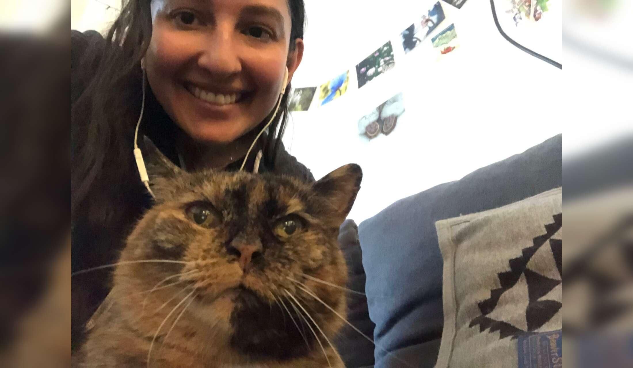 Cat sitter wanted in Munich, holidays 2026 - Image 2