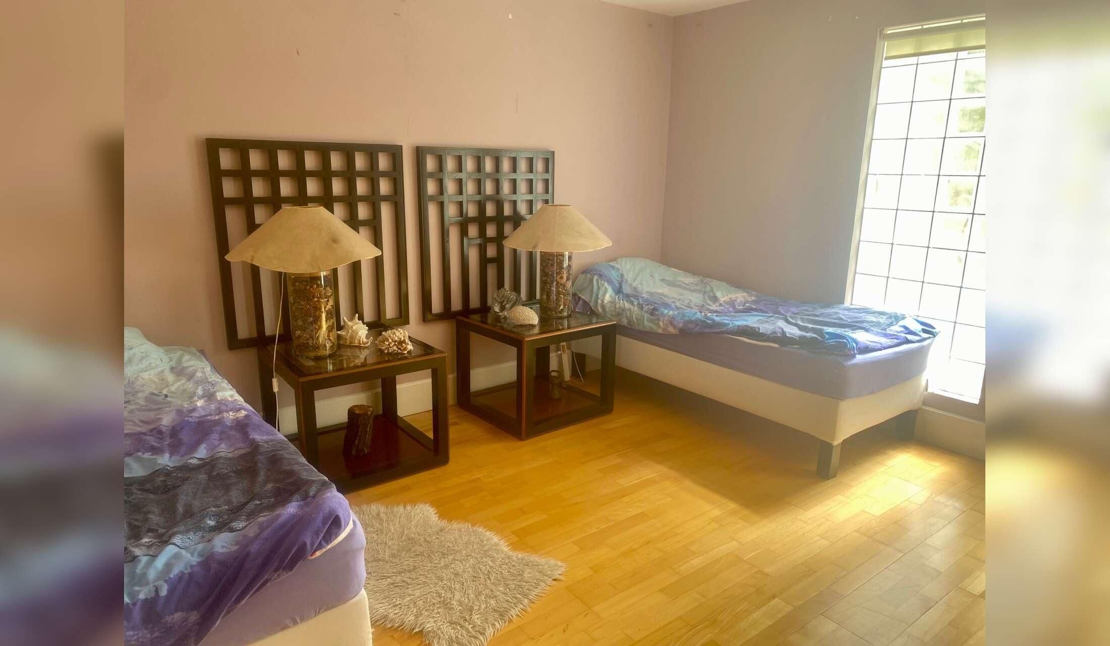House- & Pet-Sitter Wanted on a Permaculture Finca in Vilaflor, Tenerife - Image 7