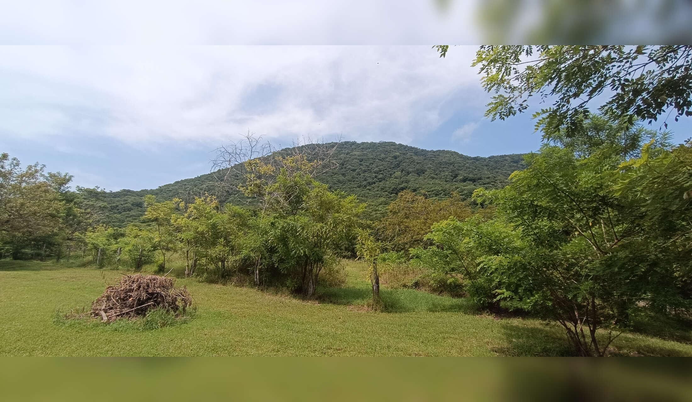 House in a finca surrounded by wild animals - Image 7
