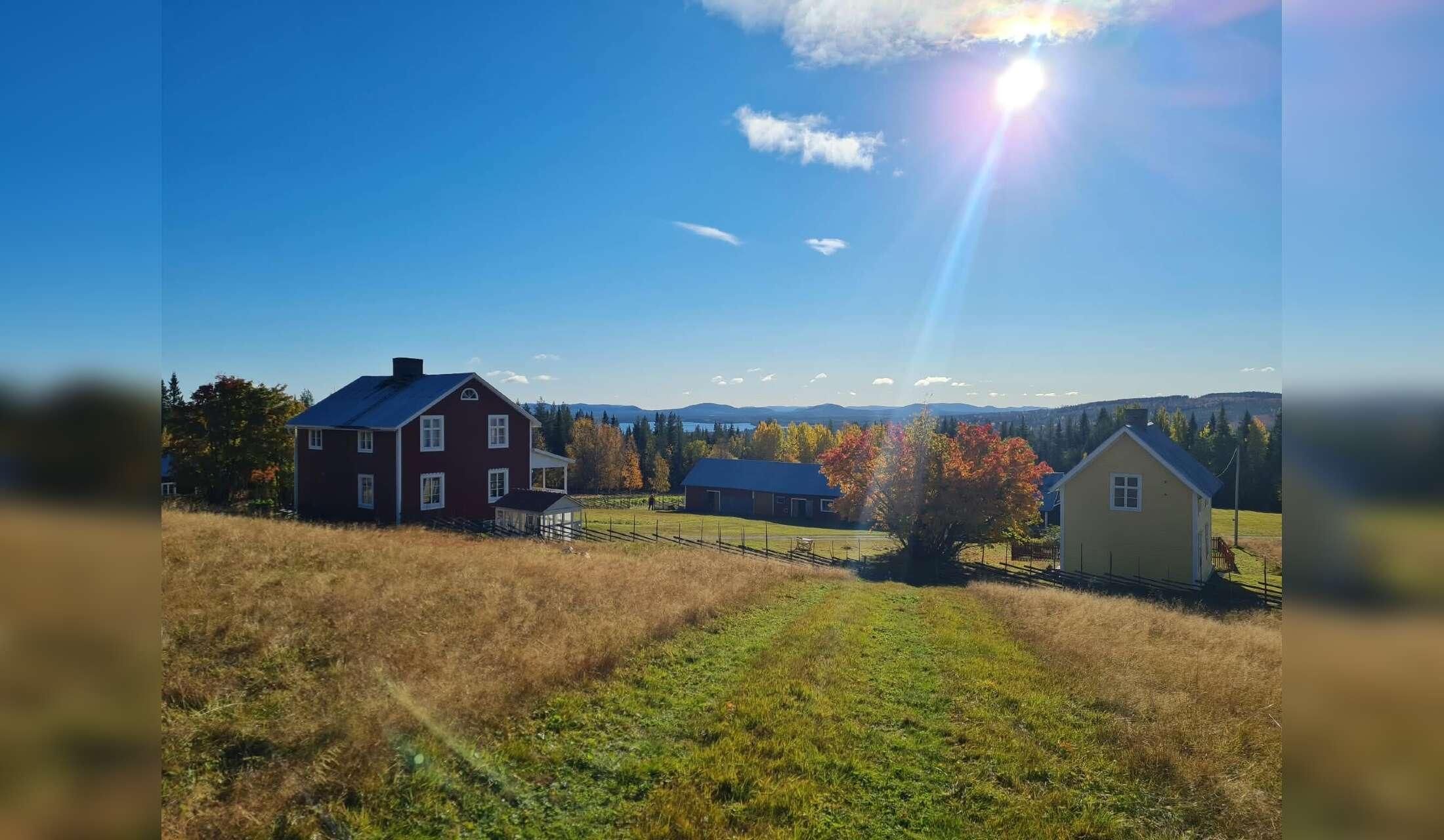 Small farm in Northern Sweden - Image 8