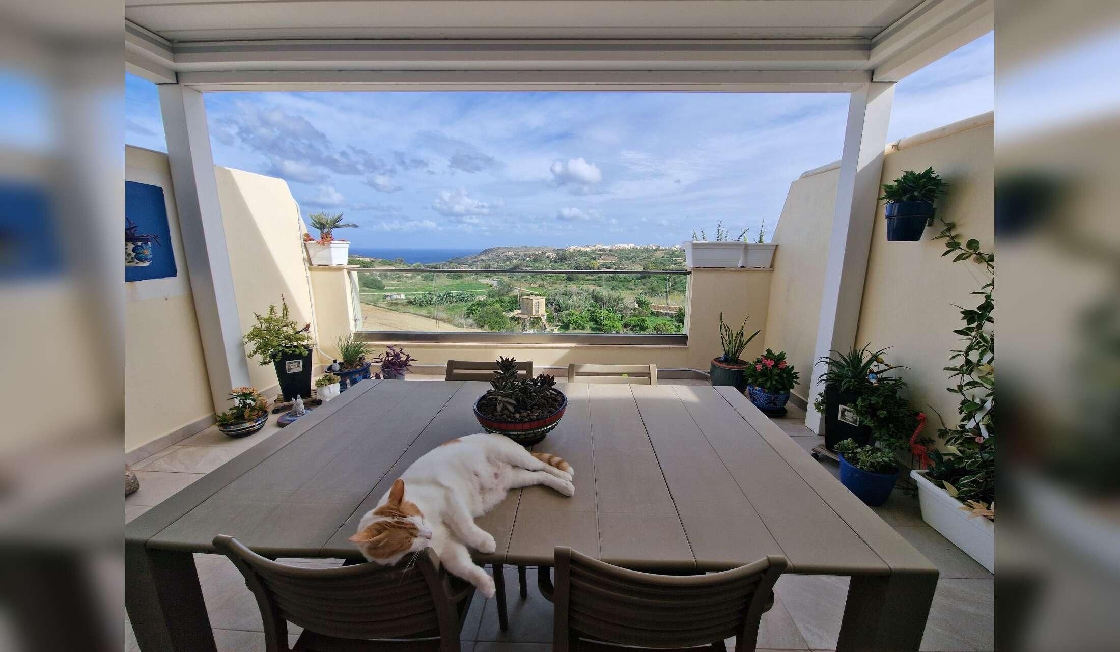 Cat and House Sitter Required , Island Living Livestyle ,Gozo Malta - Image 3