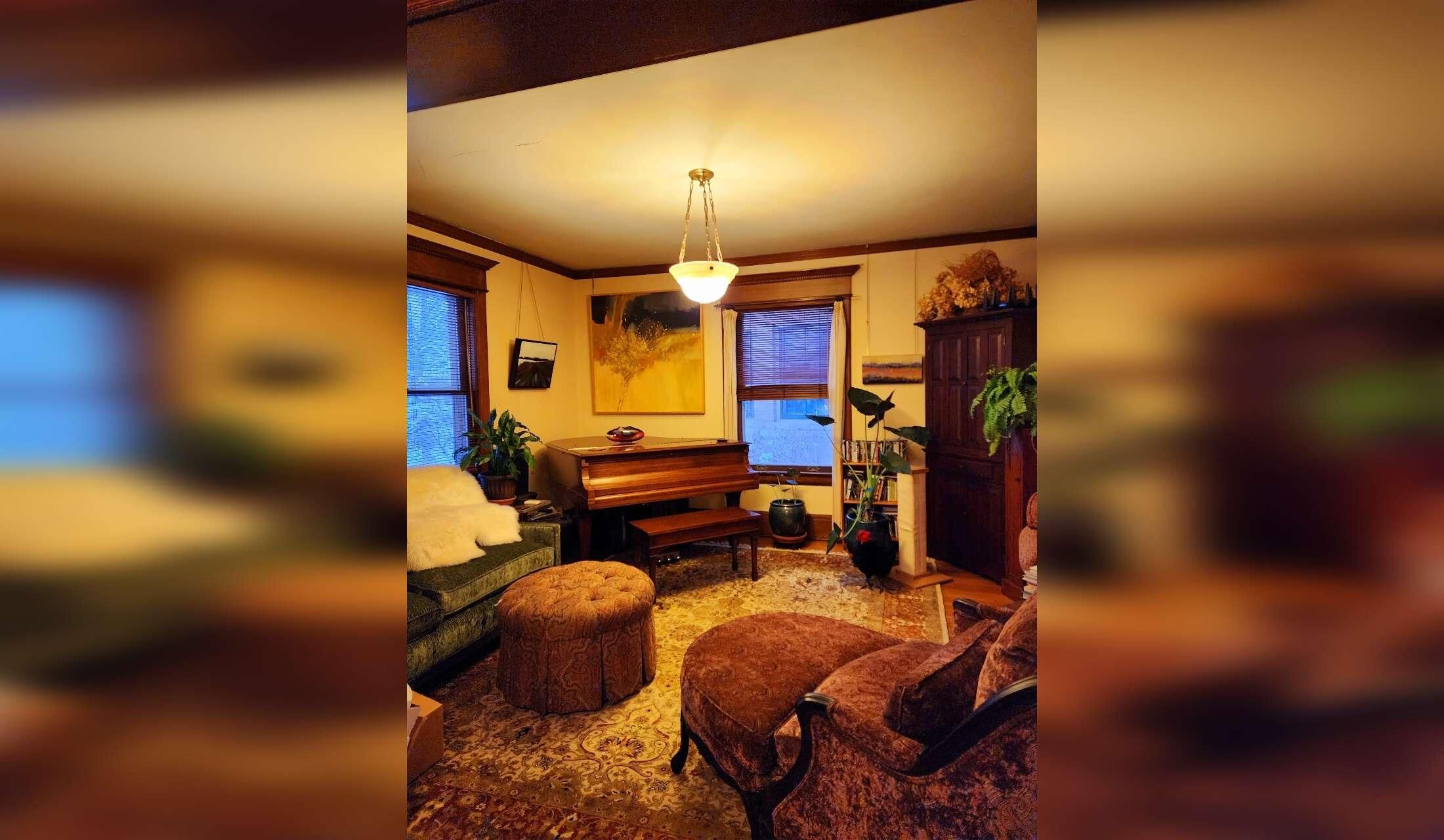 Victorian home with pets in quiet, leafy neighborhood in the city - Image 6