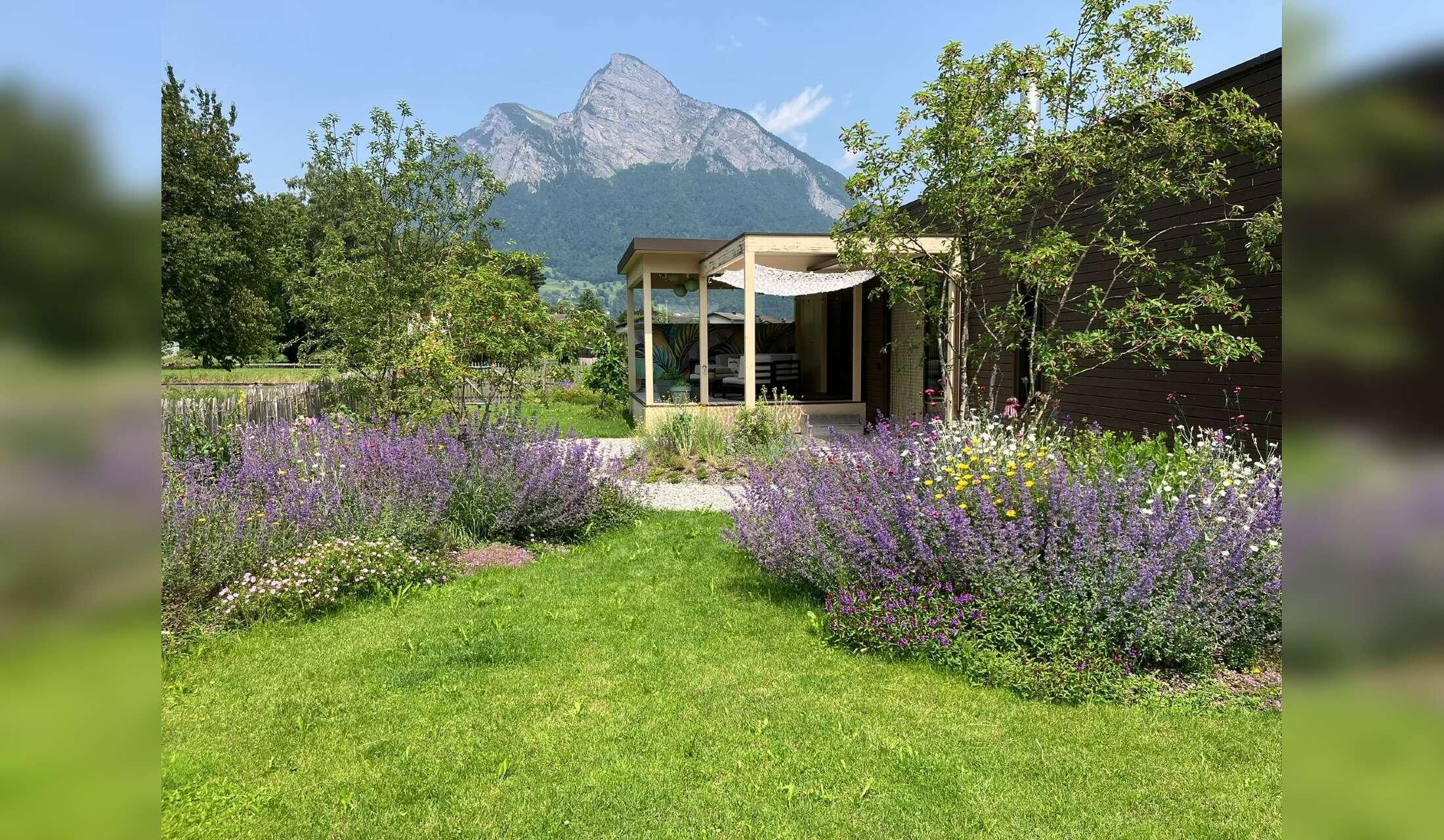 House & Garden Sitting (Non-Smoker)