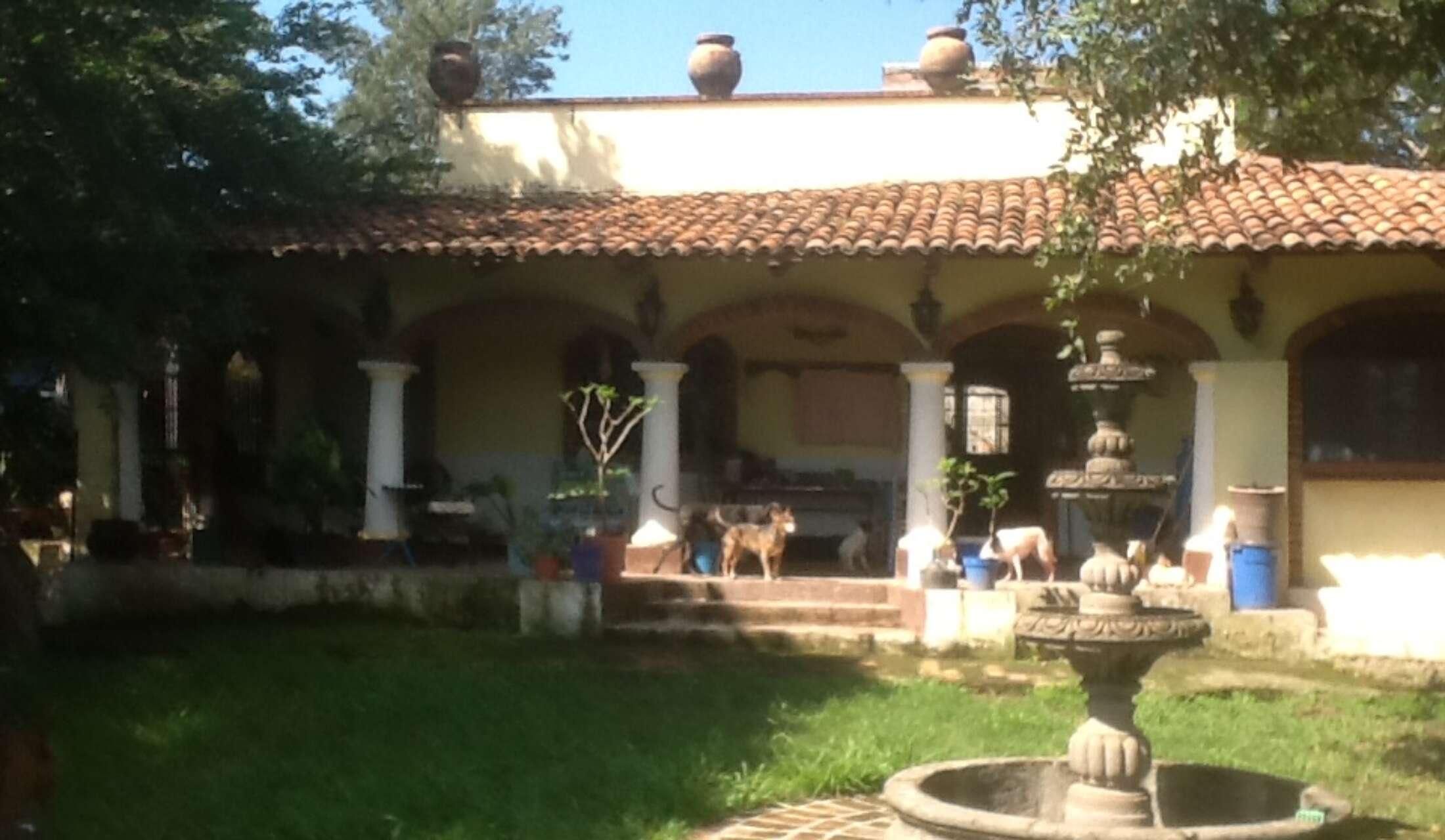 Pet/house Care Compostela, Mexico