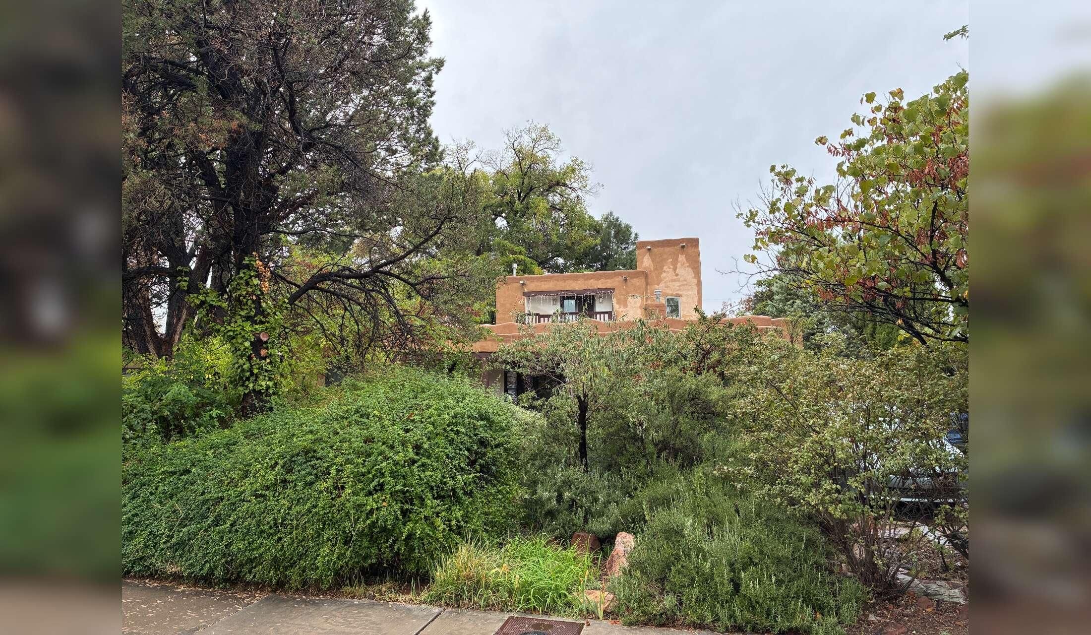 Nice home near University of NM and Nob Hill with sweet 16 pound terrier mix - Image 7