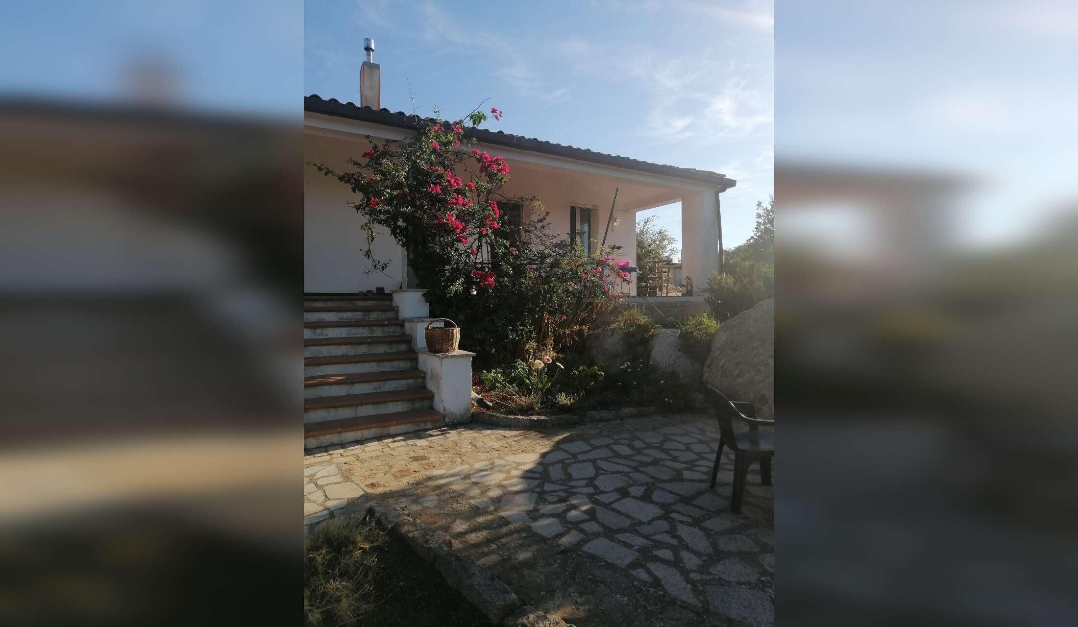 A country Italian house in Luras Sardegna, beautiful views, small vinyard, fruit trees etc. It is very close to the town of Luras, 30 minutes to Olbia, Arzachena and the Costa Smeralda it A great place to be to explore the Island.. - Image 8
