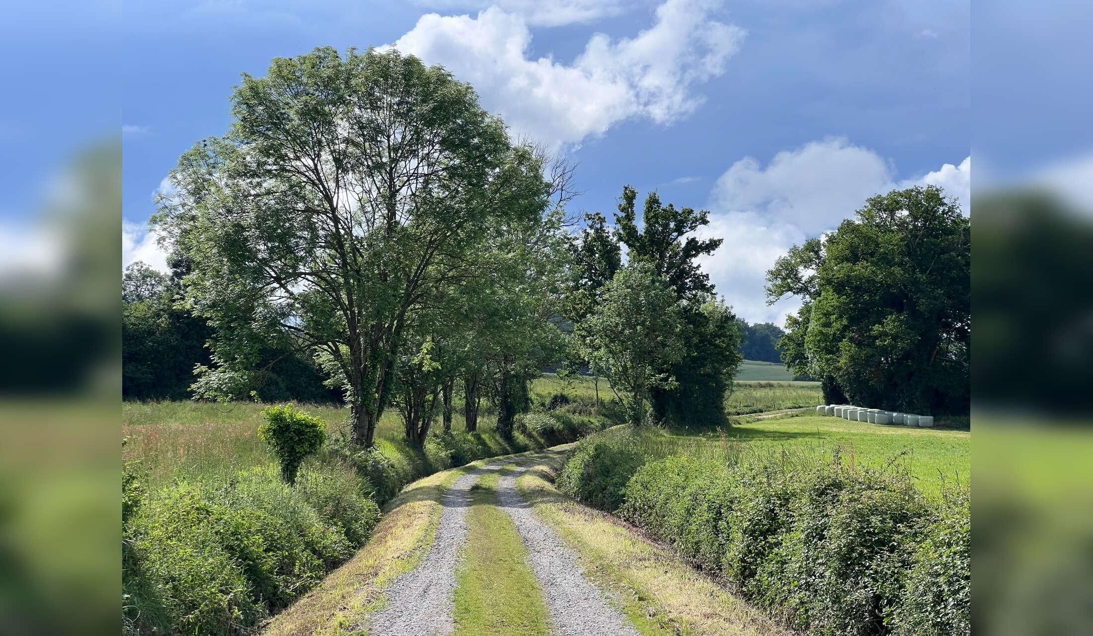 Semi-rural village home close to tranquil countryside and the Pyrenees in south west France - Image 8