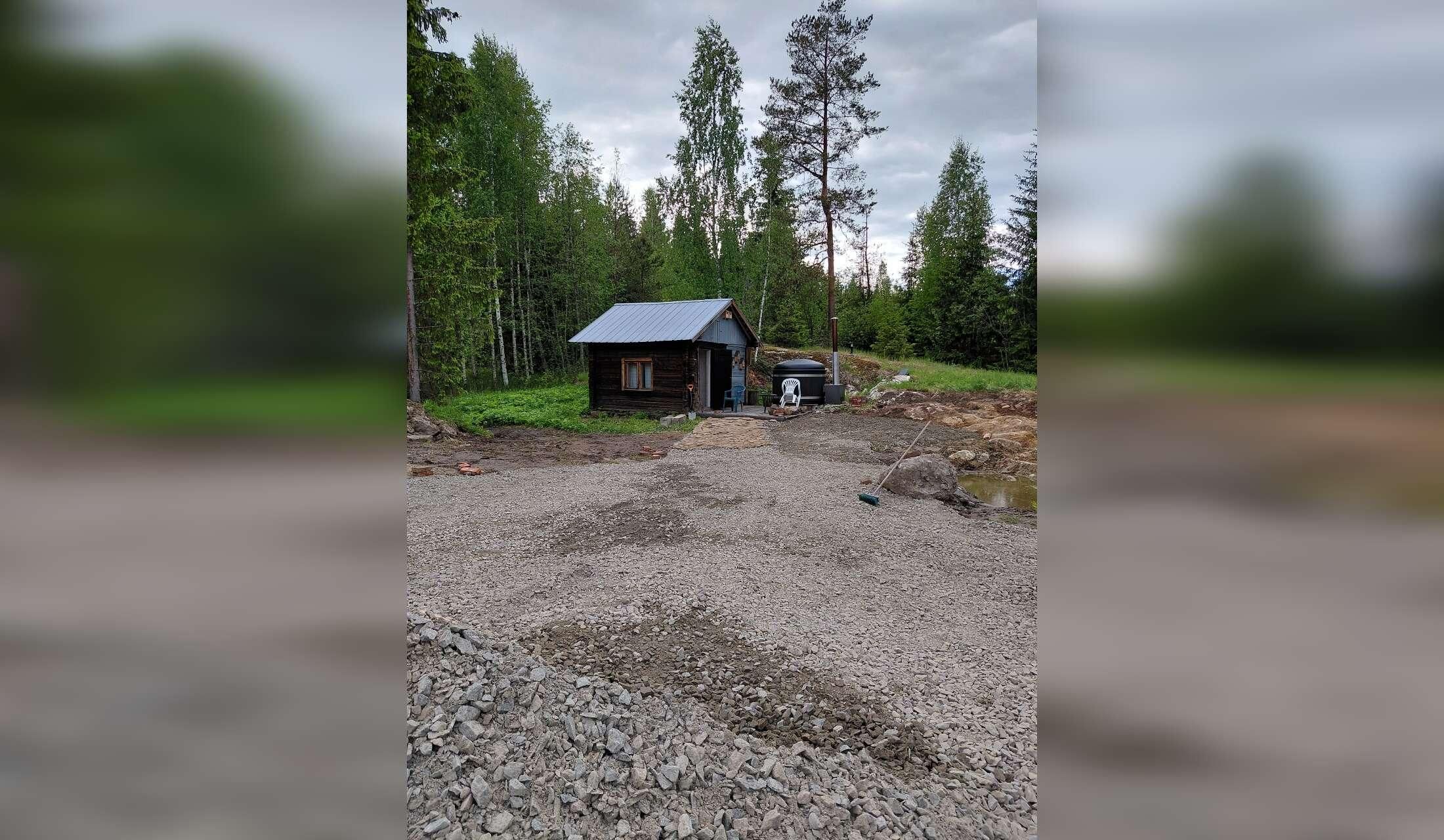 Dog sitter wanted in a little farm in middle of the forest - Image 2