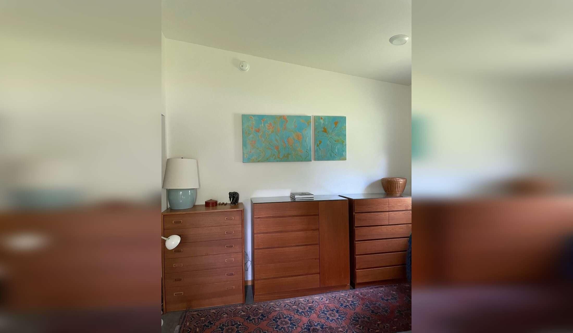 Stay in Beautiful Ithaca, with a windhound, an Abyssinian kitten and rescue black cat.  One bedroom home, central air, private yard, & painting studio. 2 week stay - Image 3