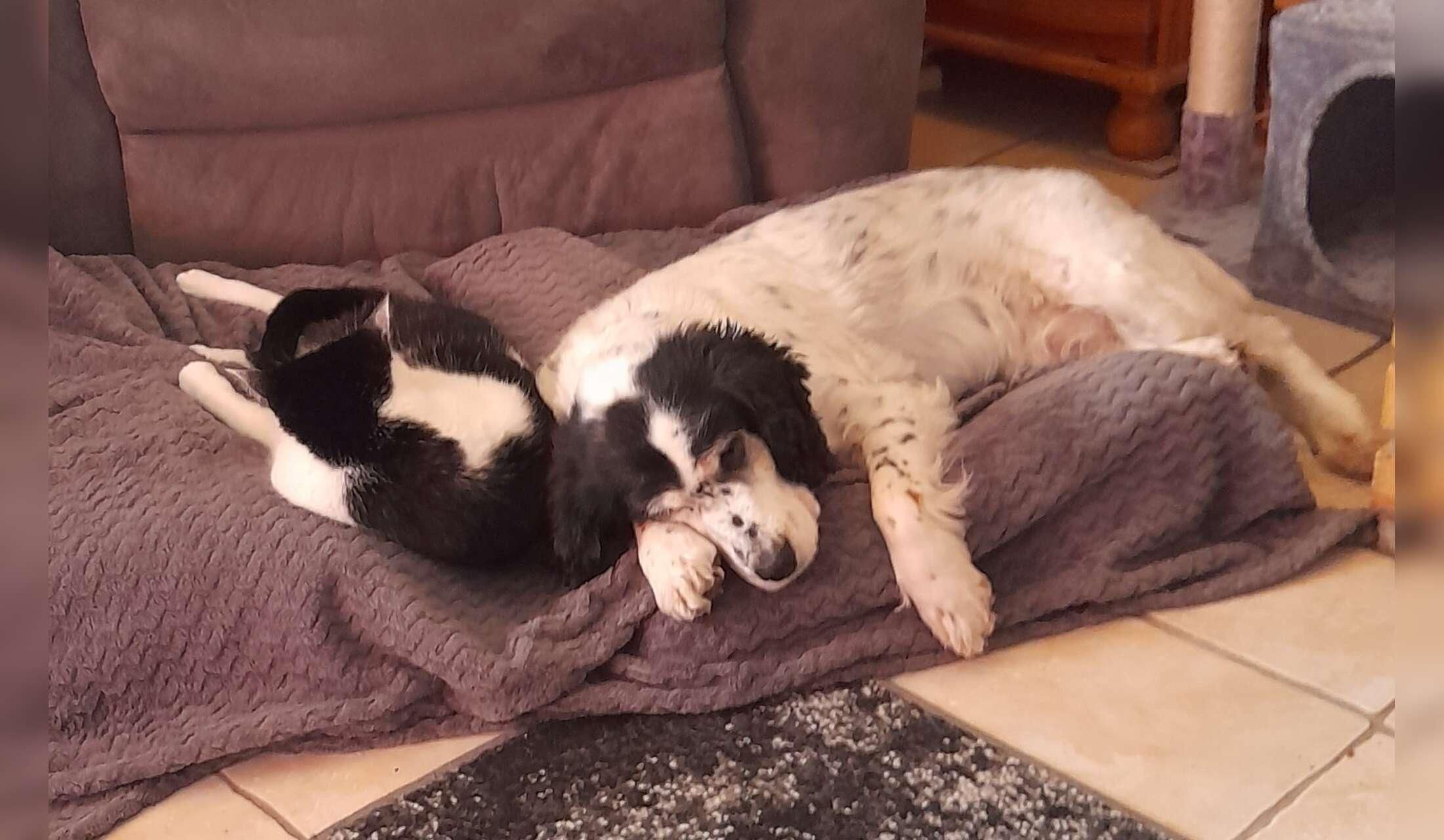 Care of Cali & Freya - Image 2
