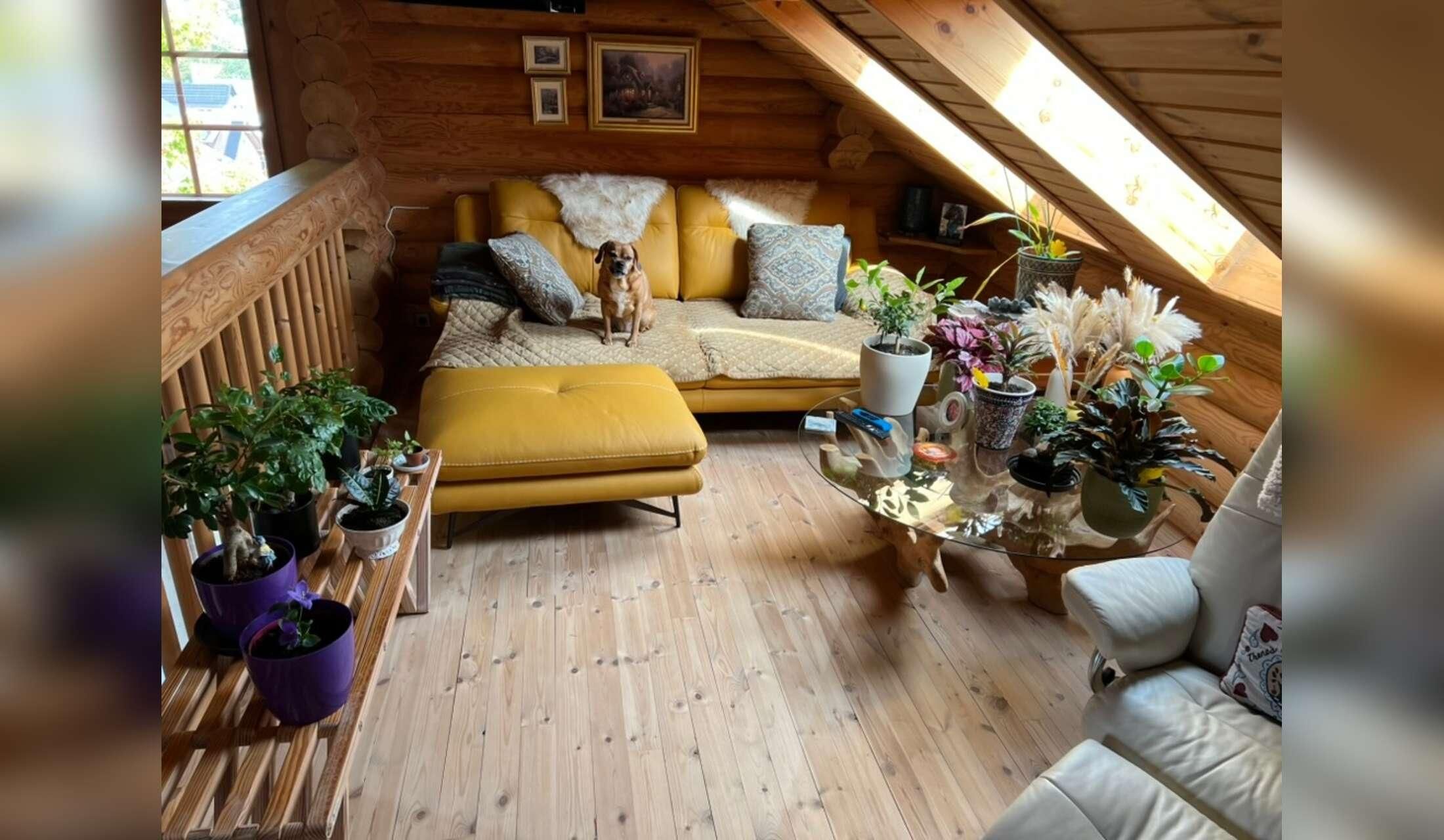 Experienced Pet & House Sitter Wanted - Germany - Image 4