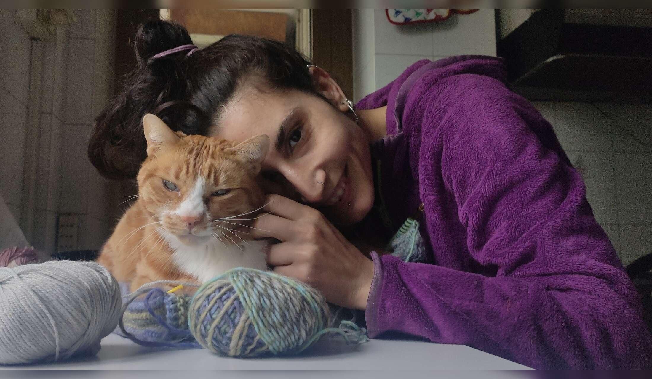 House sit in Italy, Milan area for two sweet cats - Image 10