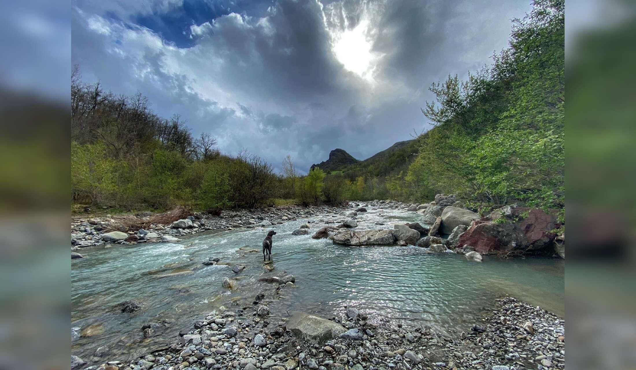Cercasi custodi per casa nel bosco sul fiume al confine tra Emilia Romagna e Toscana - Image 8