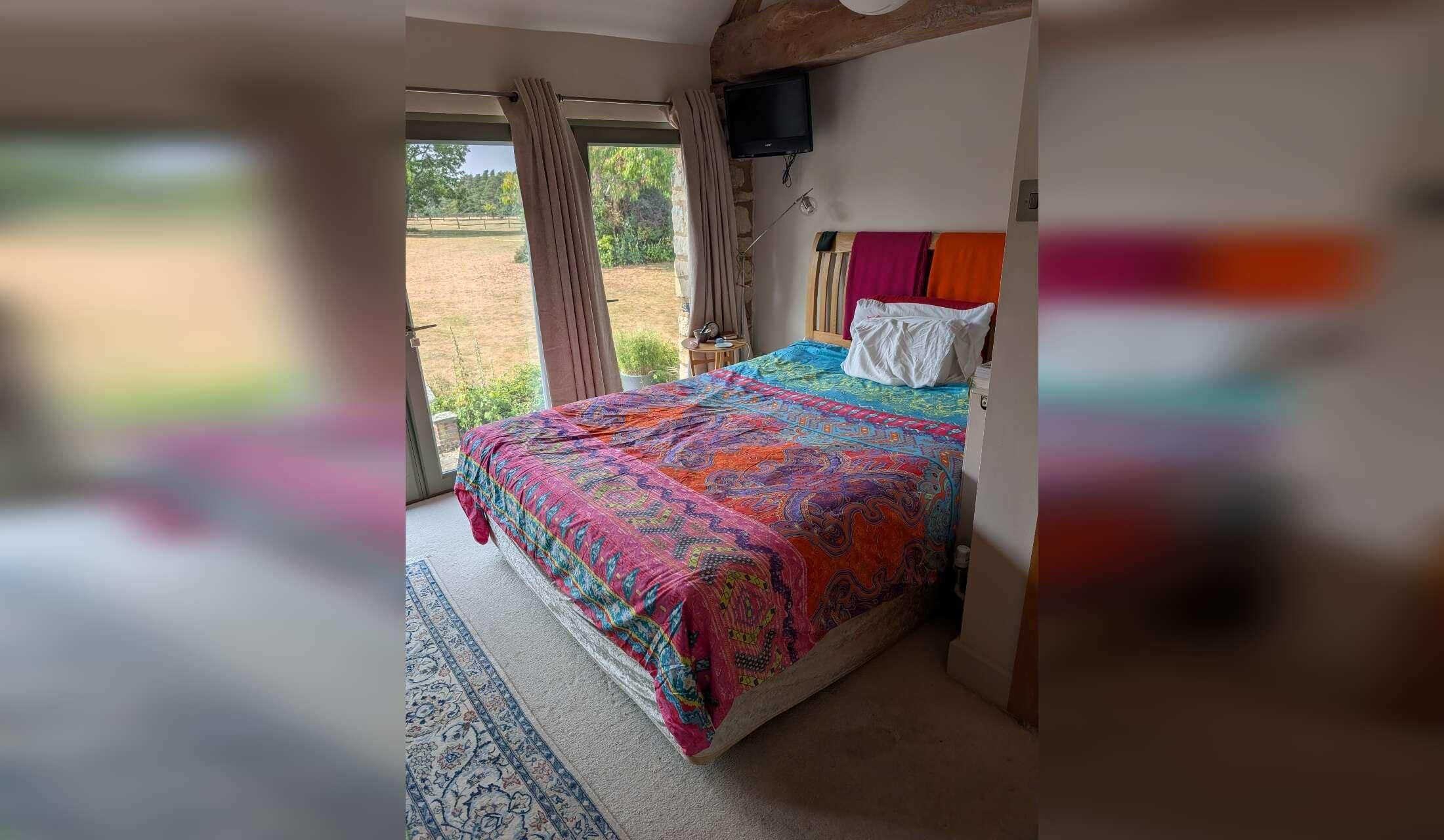 Farm stay: 15 alpaca, 2 cats, 1 house with housemate - Image 6