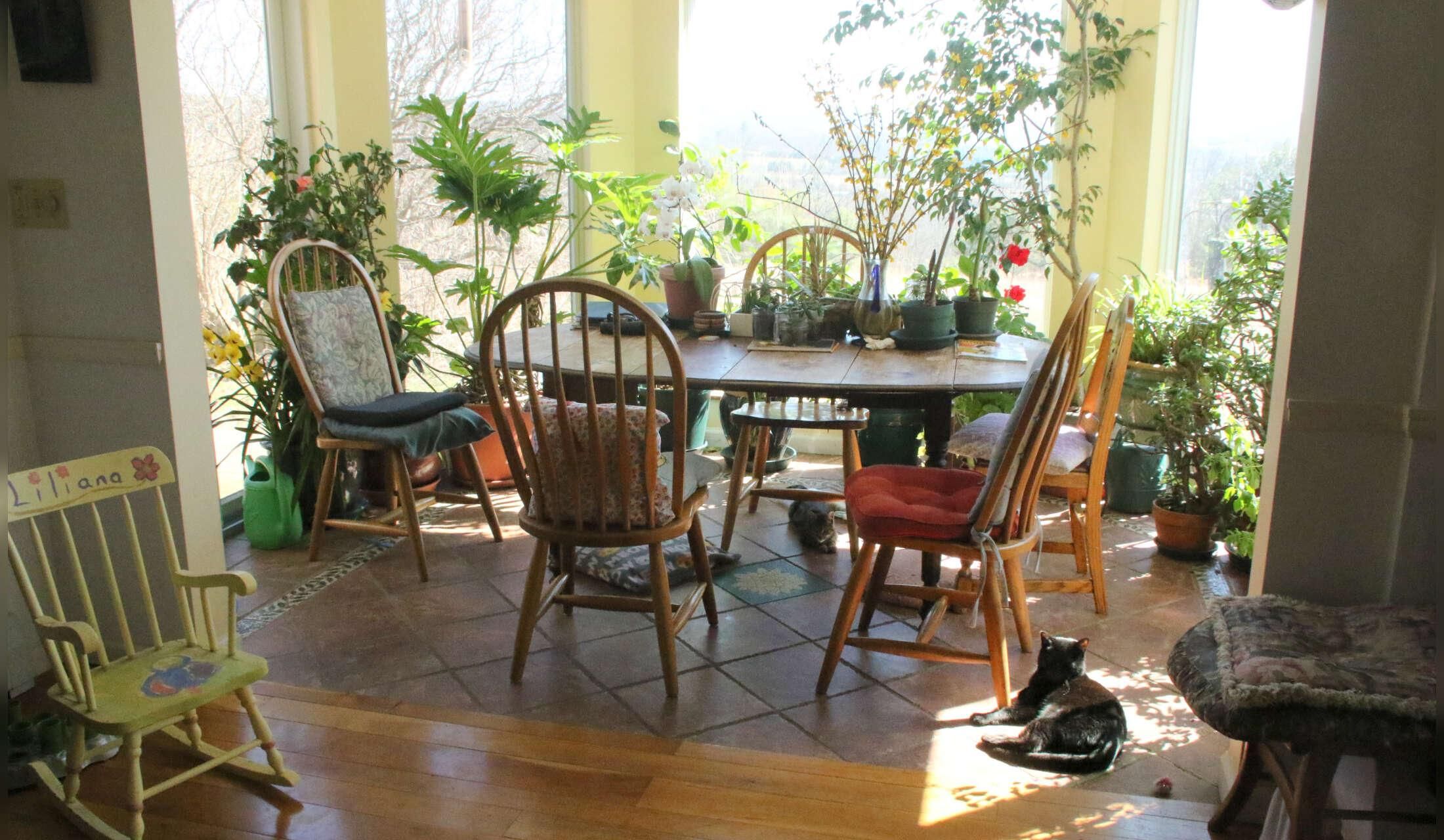 Summer Home in Ithaca NY - Image 3