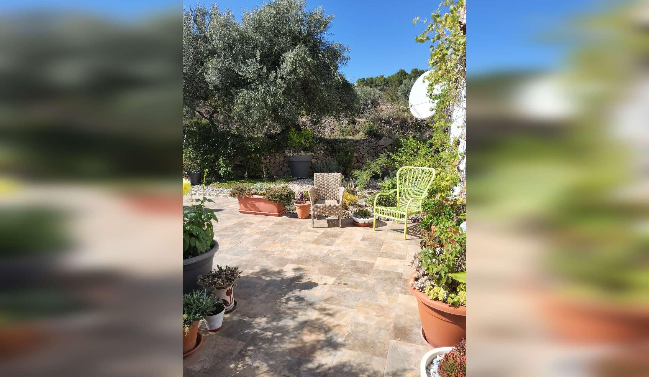House and pet sitter wanted 28 October > 11th December 2026, Atzeneta del Maestrat, Castellón, Spain - Image 3