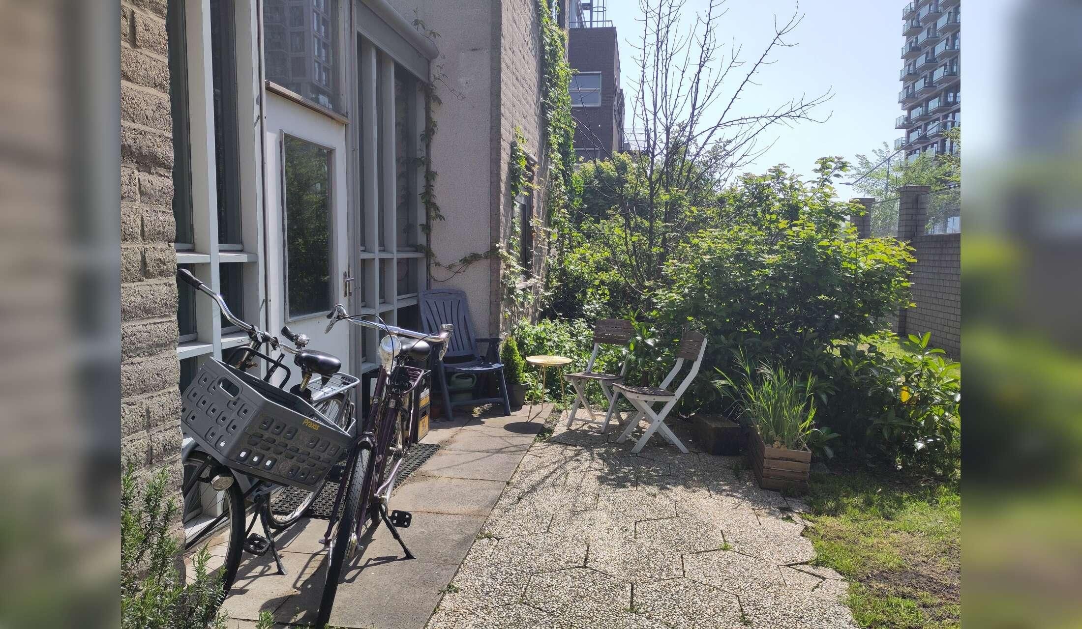 Cat/housesitting in Amsterdam Noord