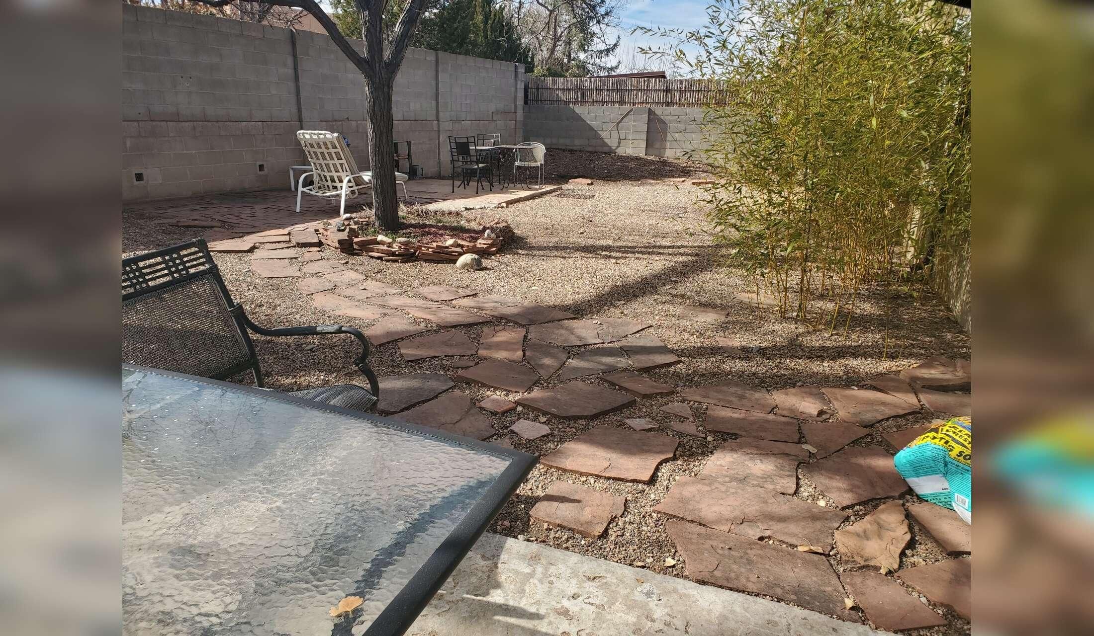 Sweetest dog in Santa Fe - Image 6