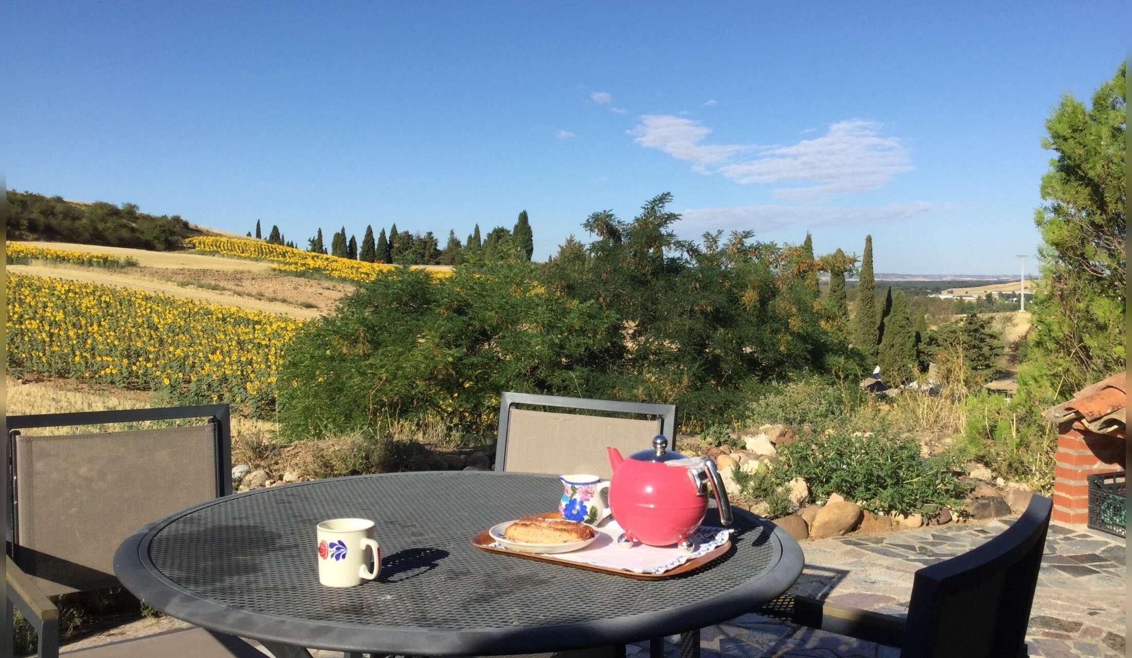Quiet retreat in the heart of Spain in the company of a white tomcat - Image 9