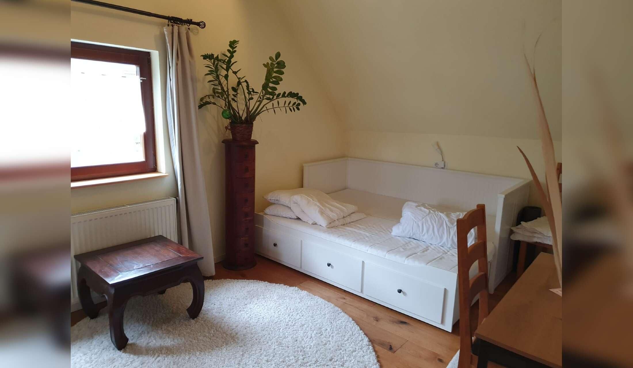Peaceful house sit with our lovely dog Runa near Dresden / Germany - Image 2