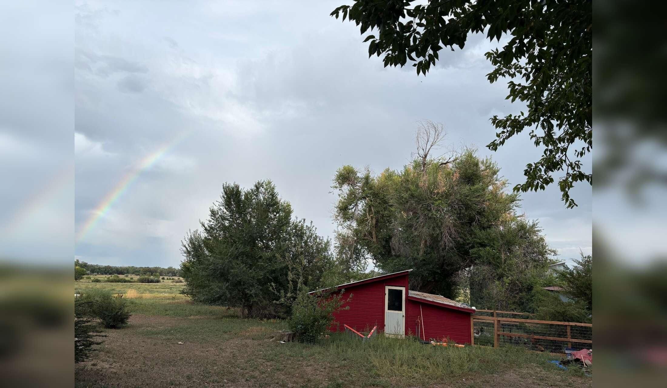 10 day/ 9 night Farm Stay in Boulder, CO!